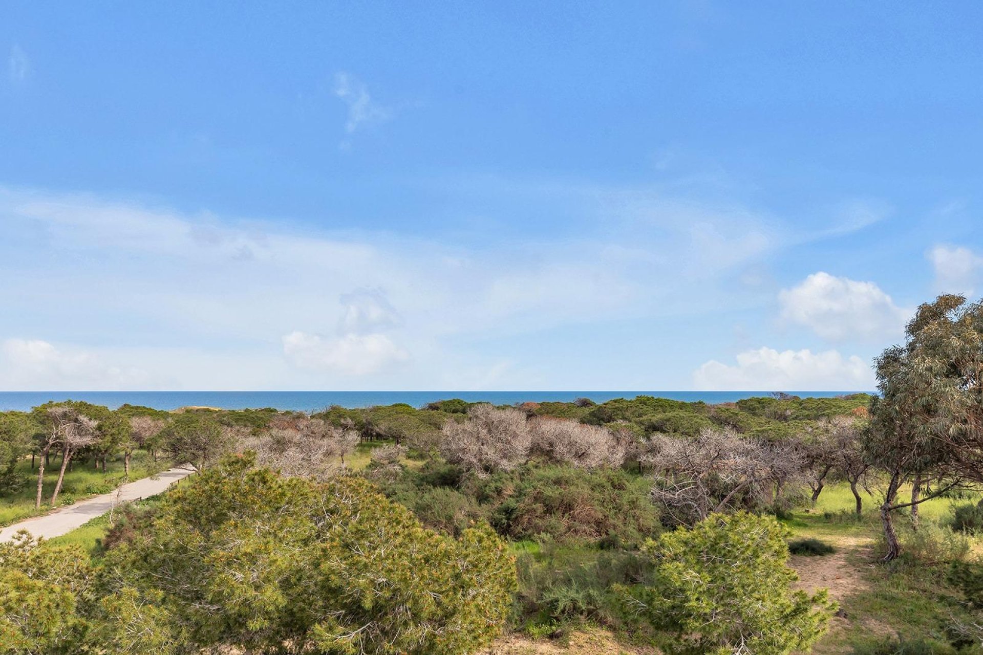 Wiederverkauf - Villa - Guardamar del Segura