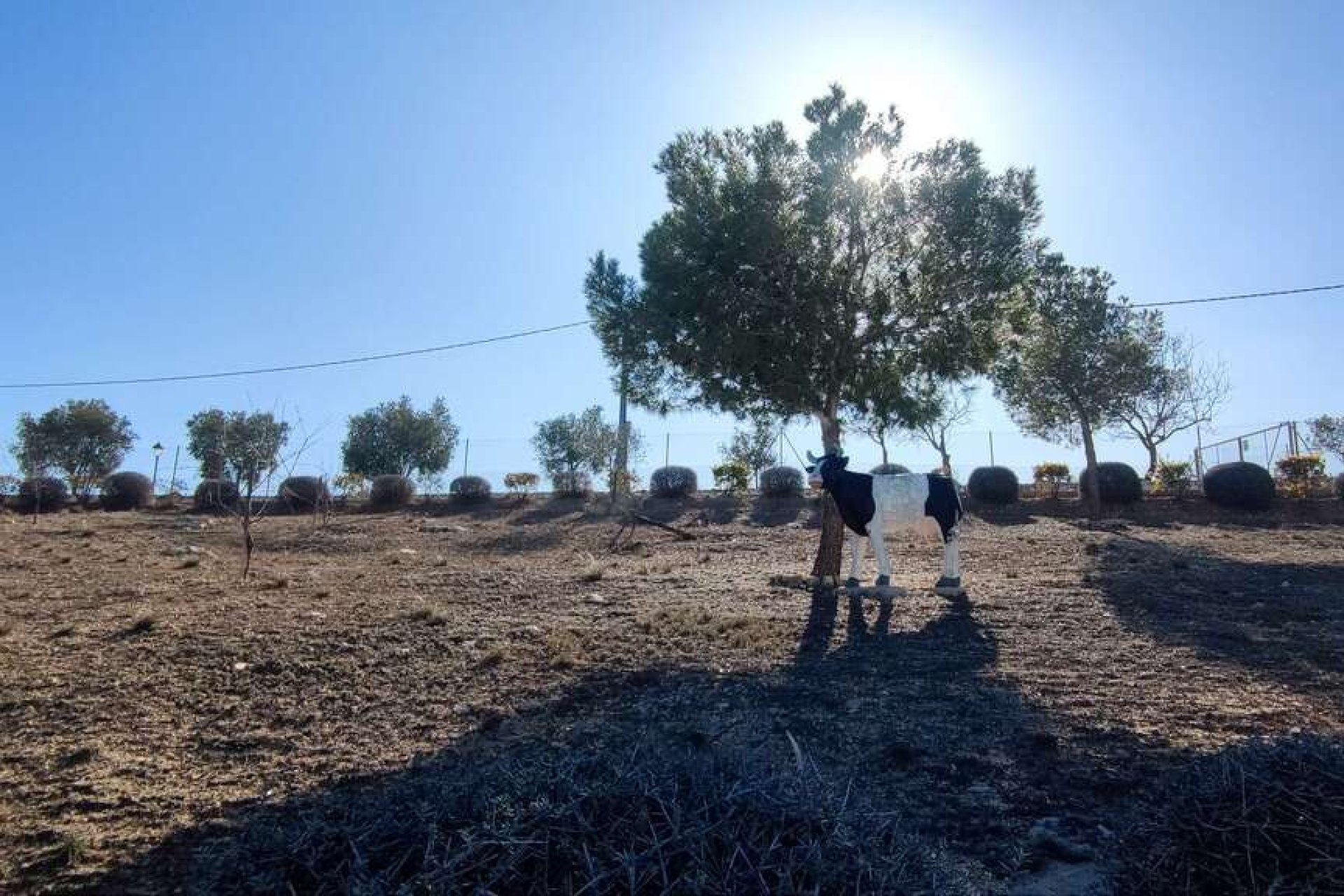 Wiederverkauf - Villa - Pinoso