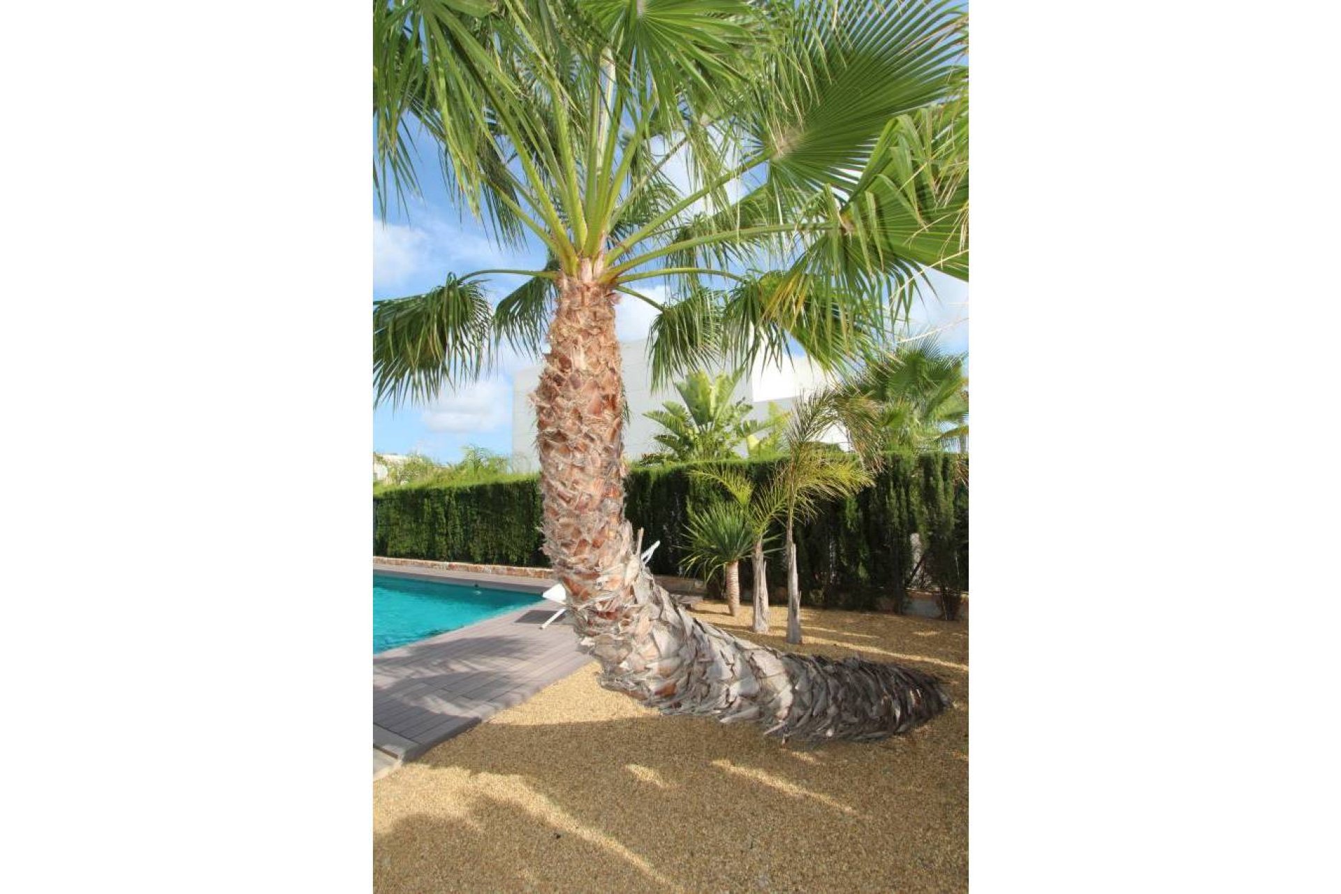 Wiederverkauf - Villa - Rojales - Ciudad Quesada