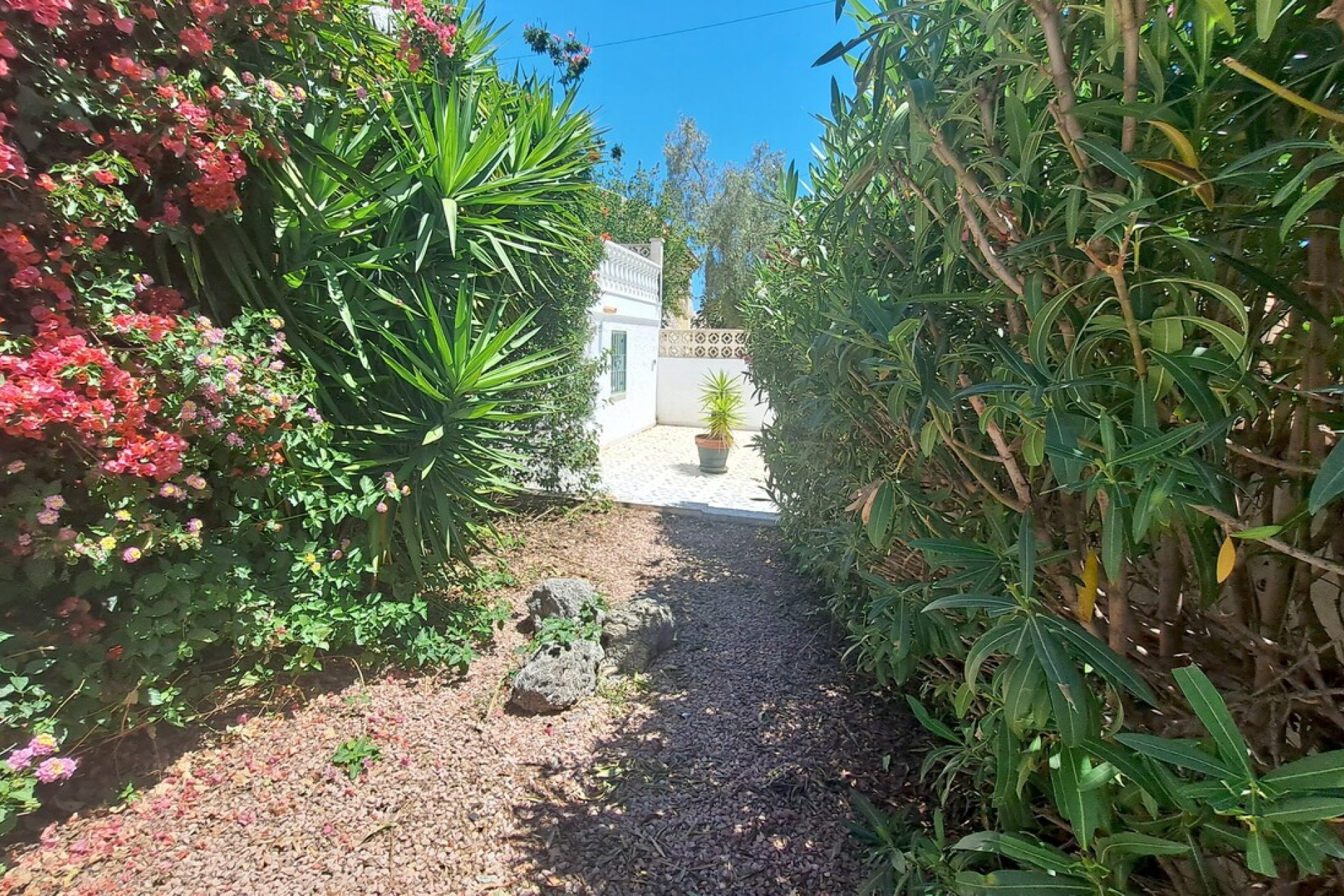 Wiederverkauf - Villa - San Miguel de Salinas - Blue lagoon