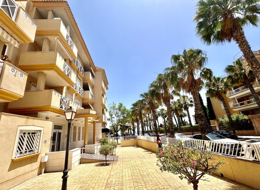 Wiederverkauf - Wohnung - Cabo Roig