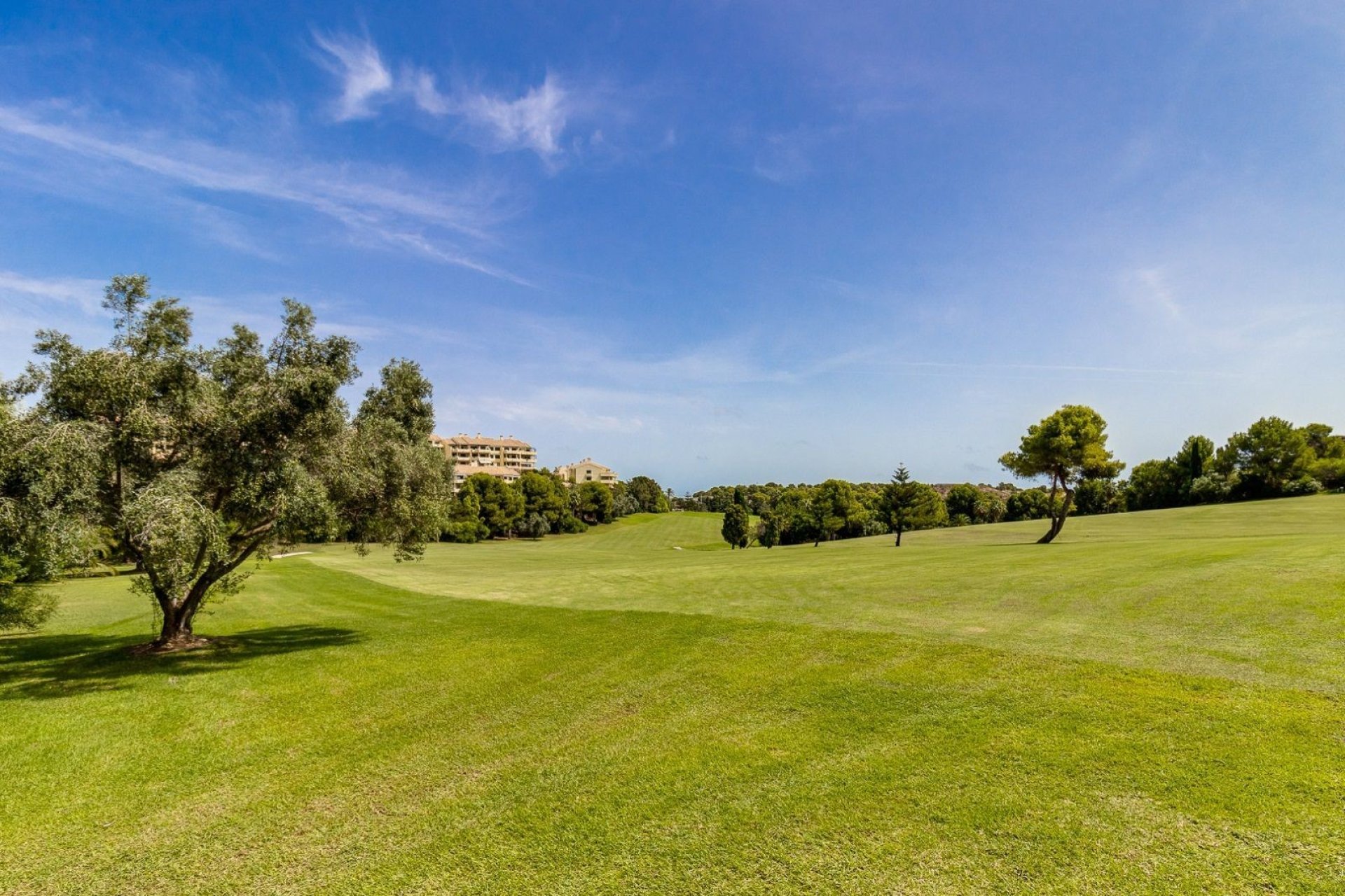 Wiederverkauf - Wohnung - Campoamor