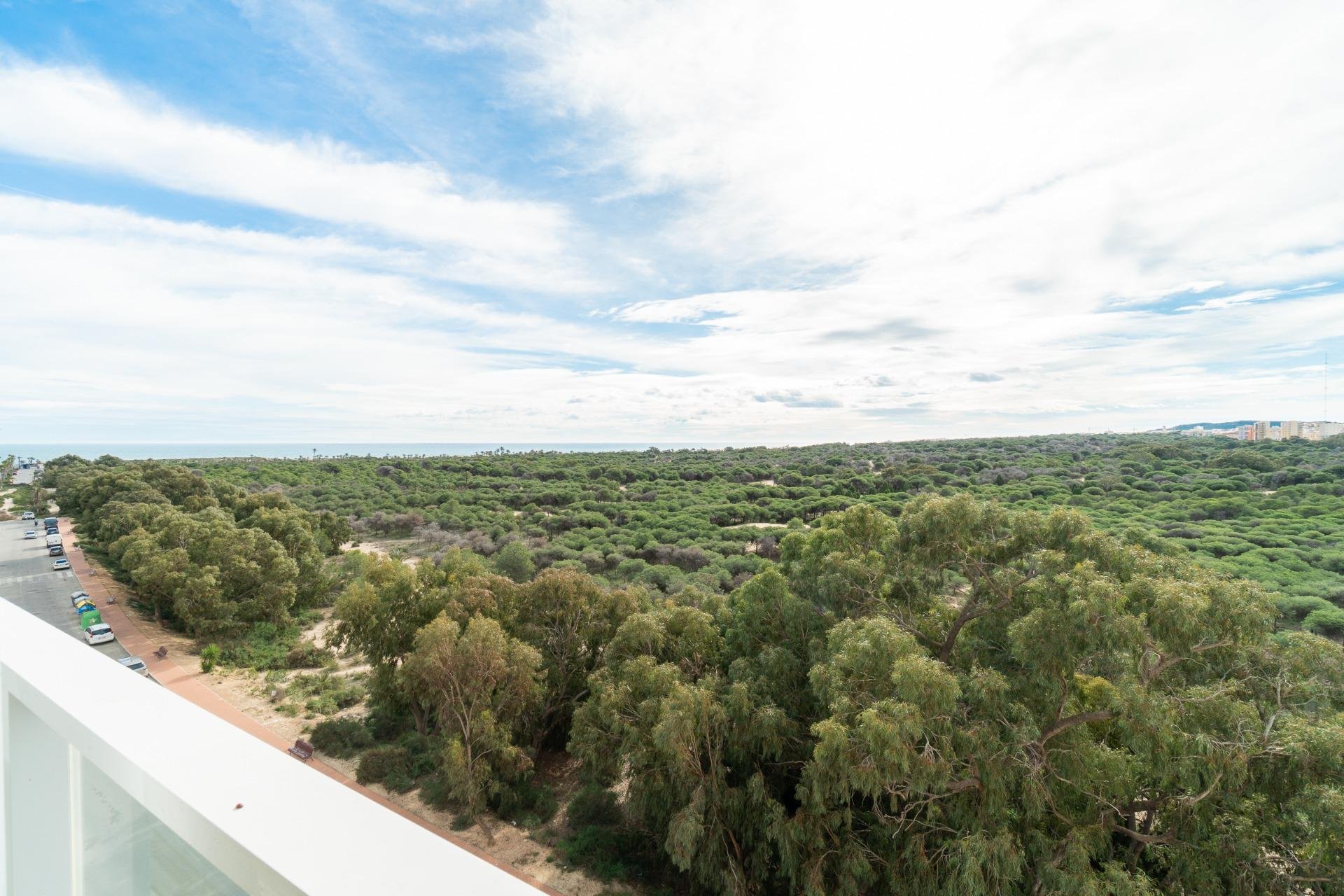 Wiederverkauf - Wohnung - Guardamar del Segura - Guardamar Playa