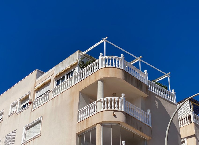 Wiederverkauf - Wohnung - Guardamar del Segura