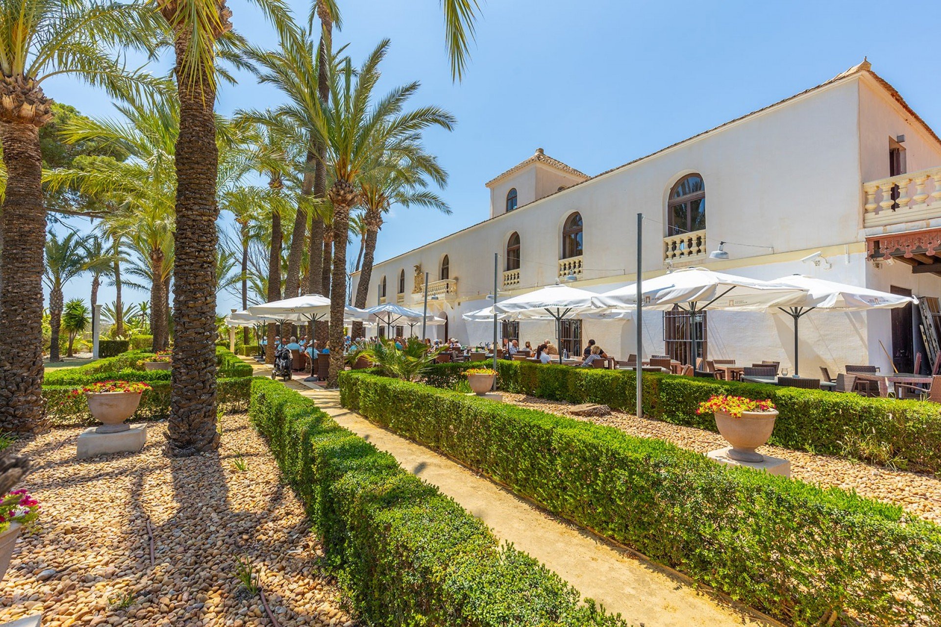 Wiederverkauf - Wohnung - Hacienda Riquelme Golf Resort - Inland