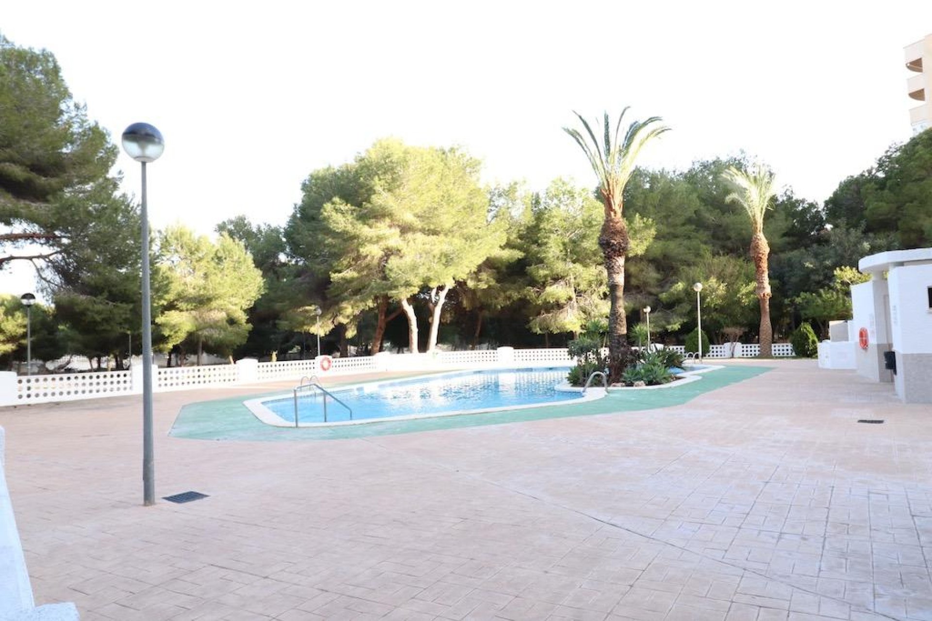 Wiederverkauf - Wohnung - Orihuela Costa - Campoamor