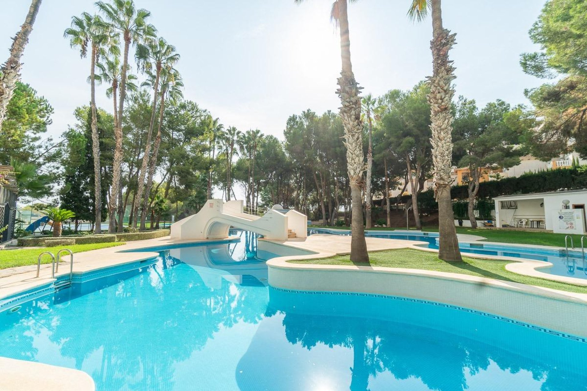 Wiederverkauf - Wohnung - Orihuela Costa - Campoamor