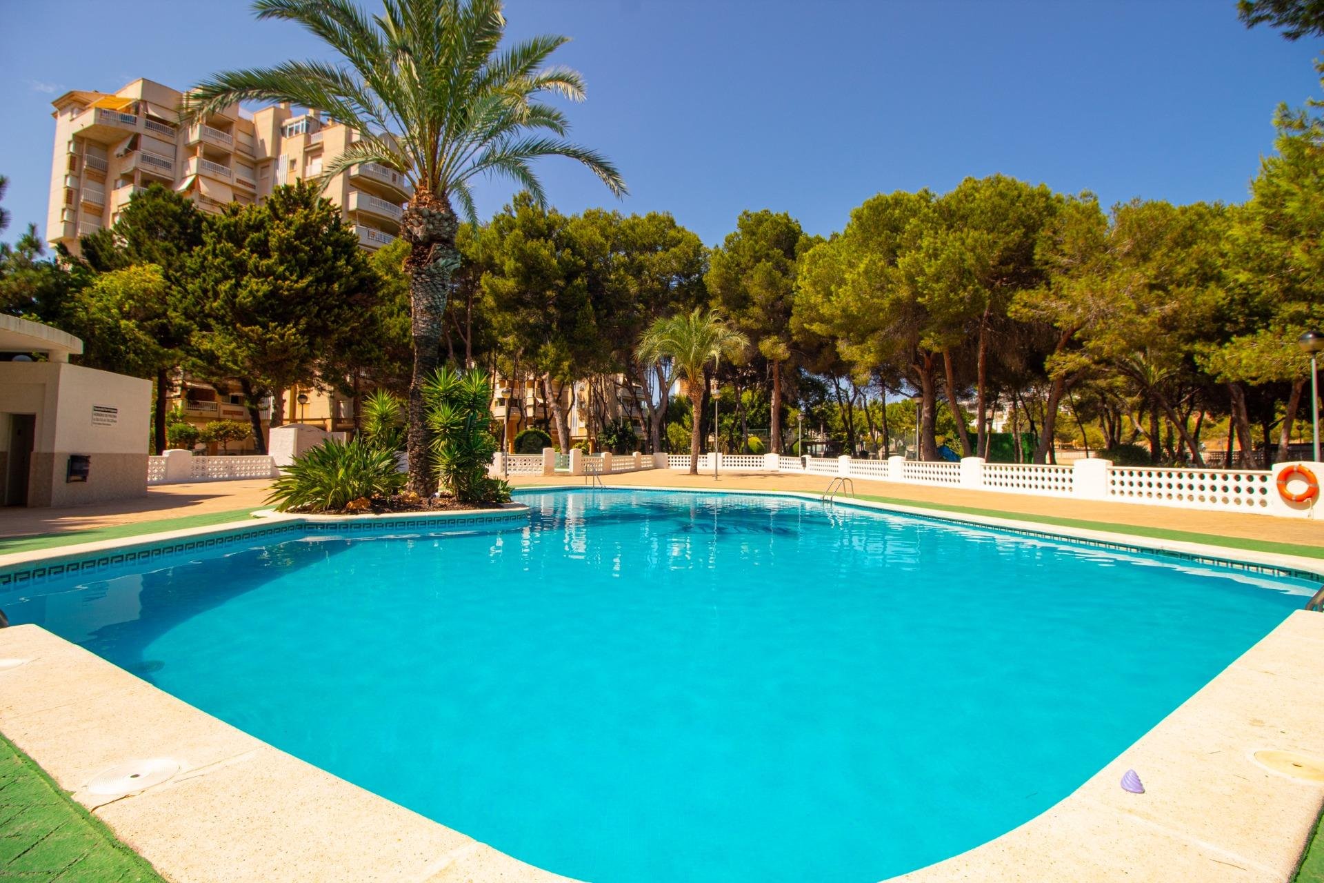 Wiederverkauf - Wohnung - Orihuela Costa - Campoamor