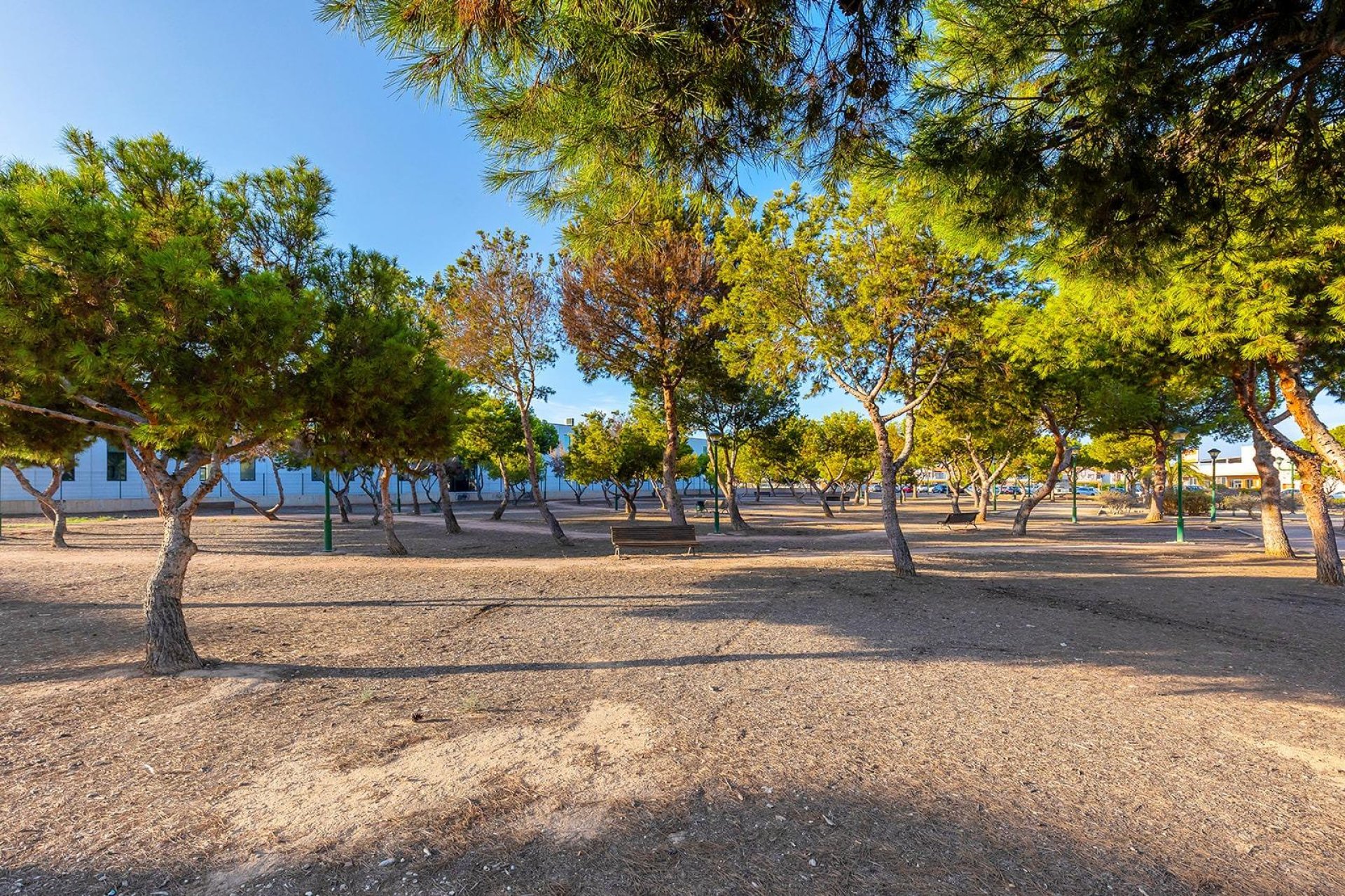 Wiederverkauf - Wohnung - Orihuela Costa - La Zenia