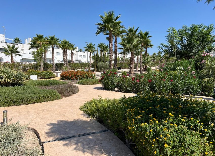 Wiederverkauf - Wohnung - Orihuela - Entre Naranjos Vistabella Golf