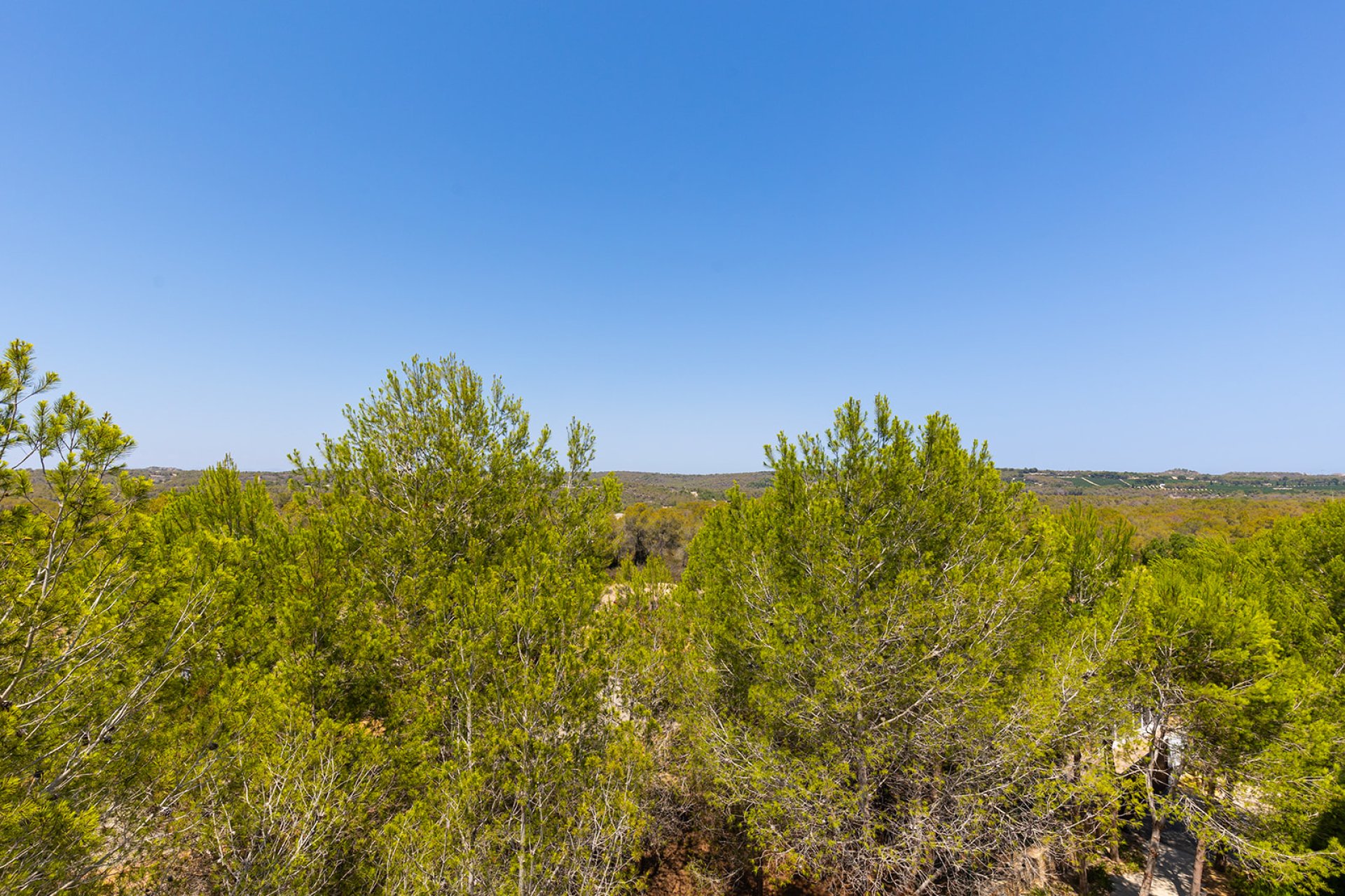 Wiederverkauf - Wohnung - Orihuela - Orihuela Costa