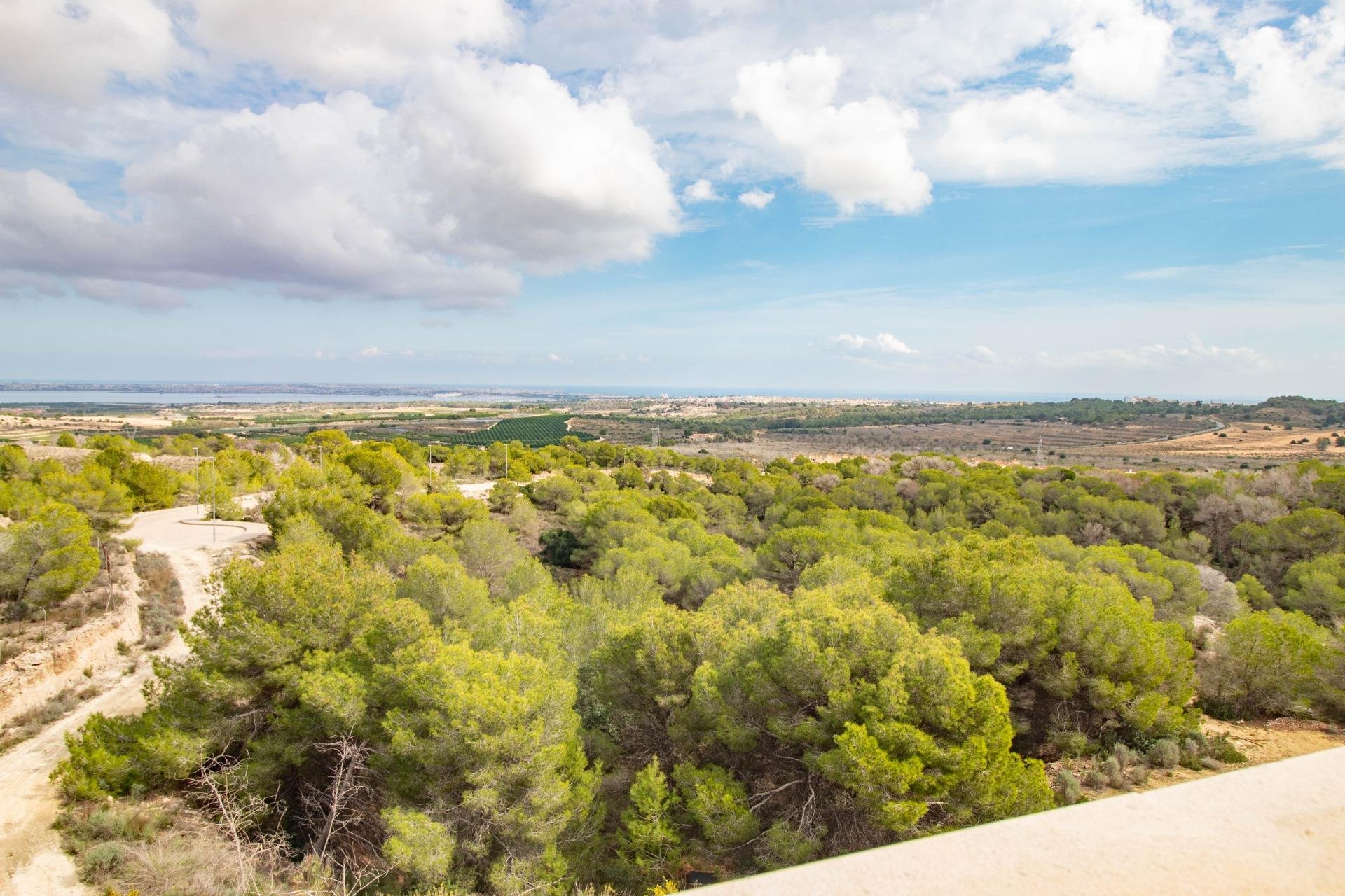 Wiederverkauf - Wohnung - San Miguel de Salinas