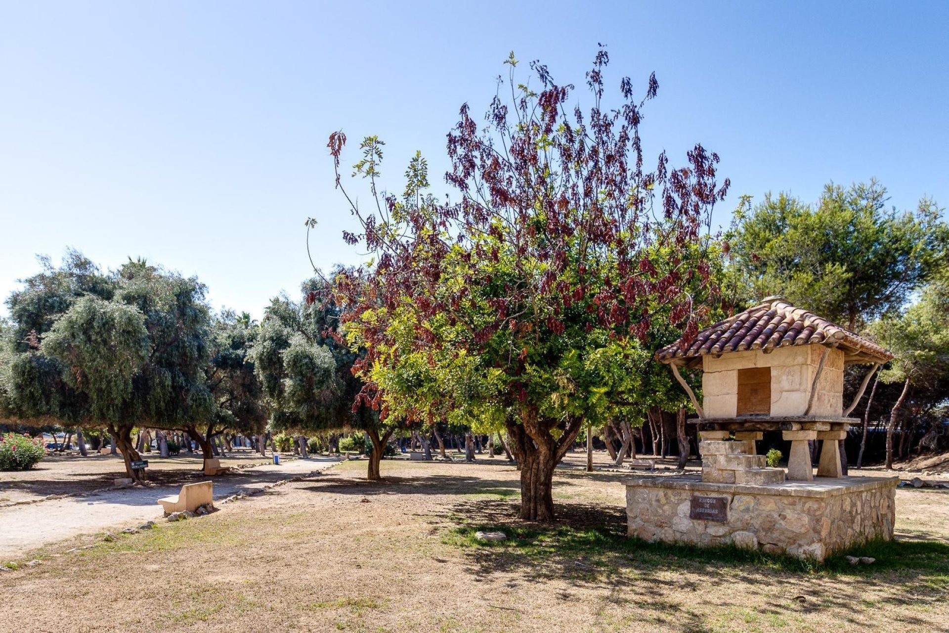 Wiederverkauf - Wohnung - Torrevieja - Acequion