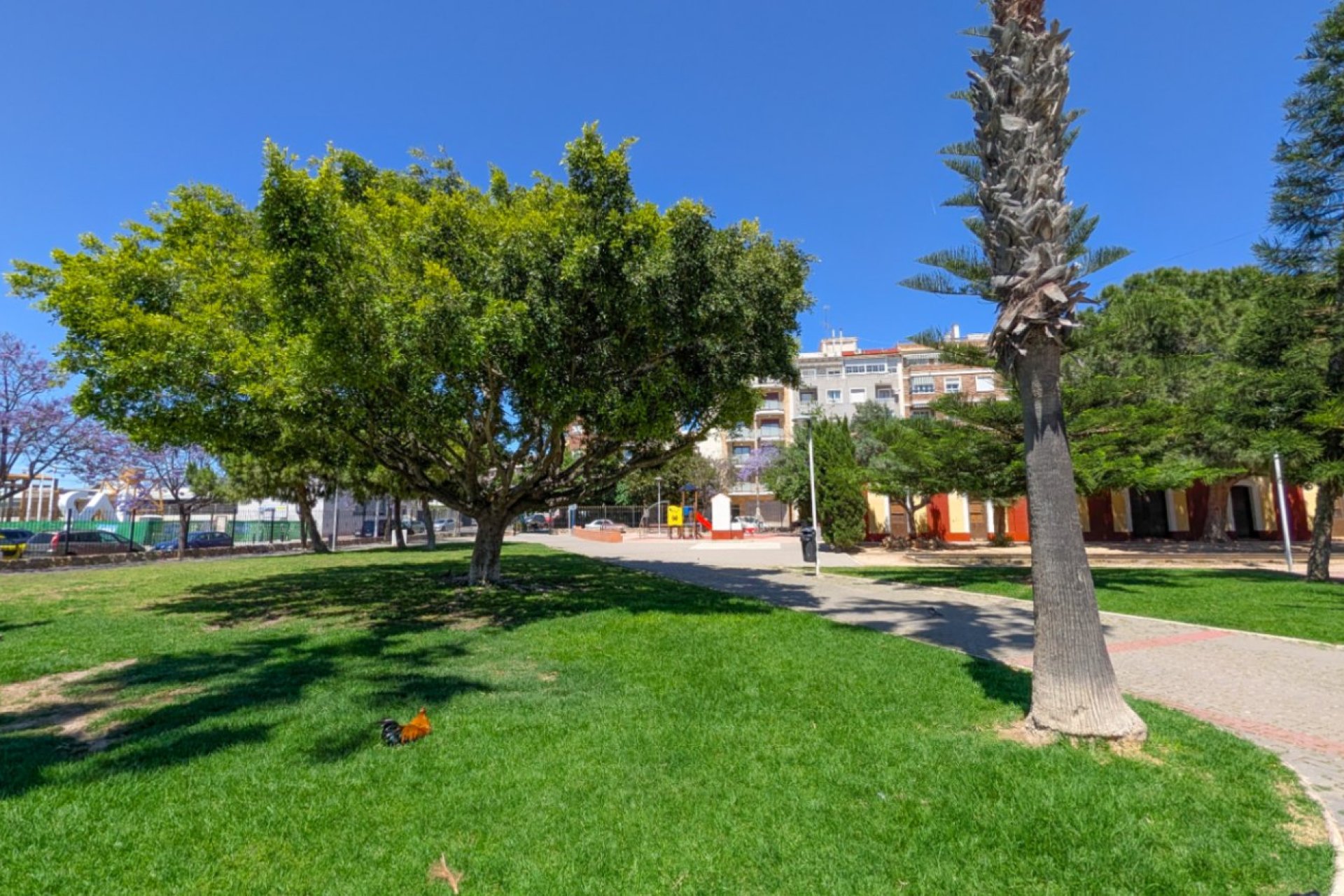 Wiederverkauf - Wohnung - Torrevieja - Acequion