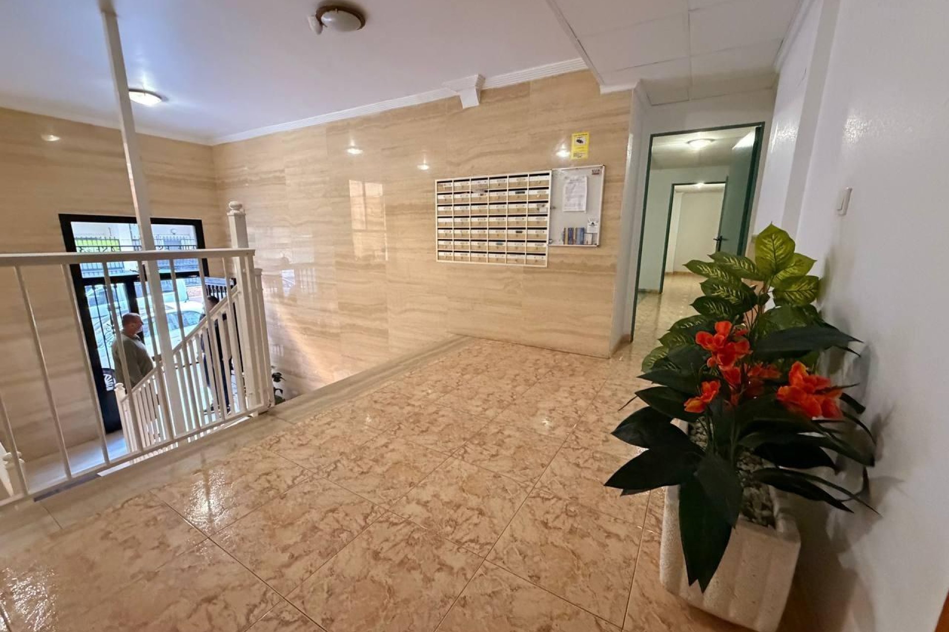 Wiederverkauf - Wohnung - Torrevieja - Acequion