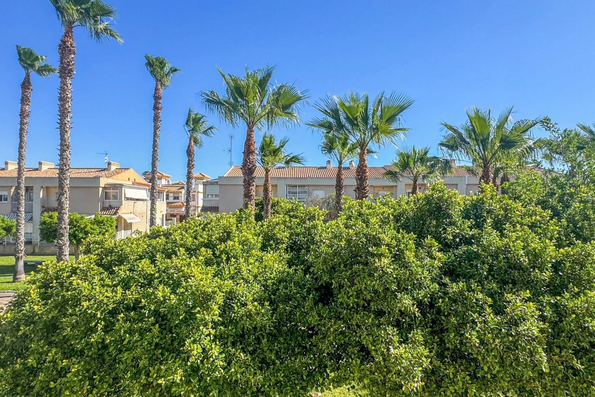 Wiederverkauf - Wohnung - Torrevieja - Aguas Nuevas