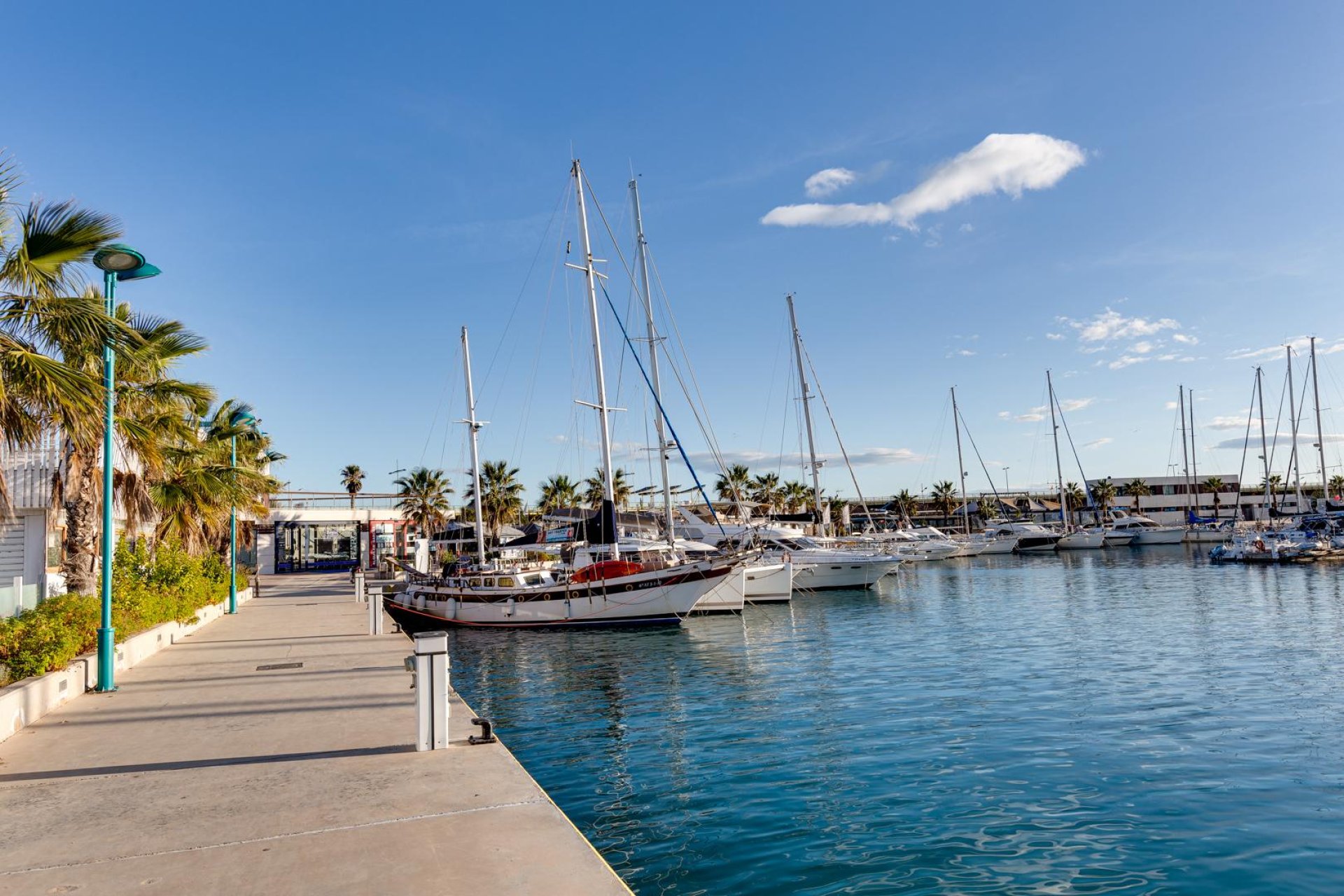 Wiederverkauf - Wohnung - Torrevieja - Center