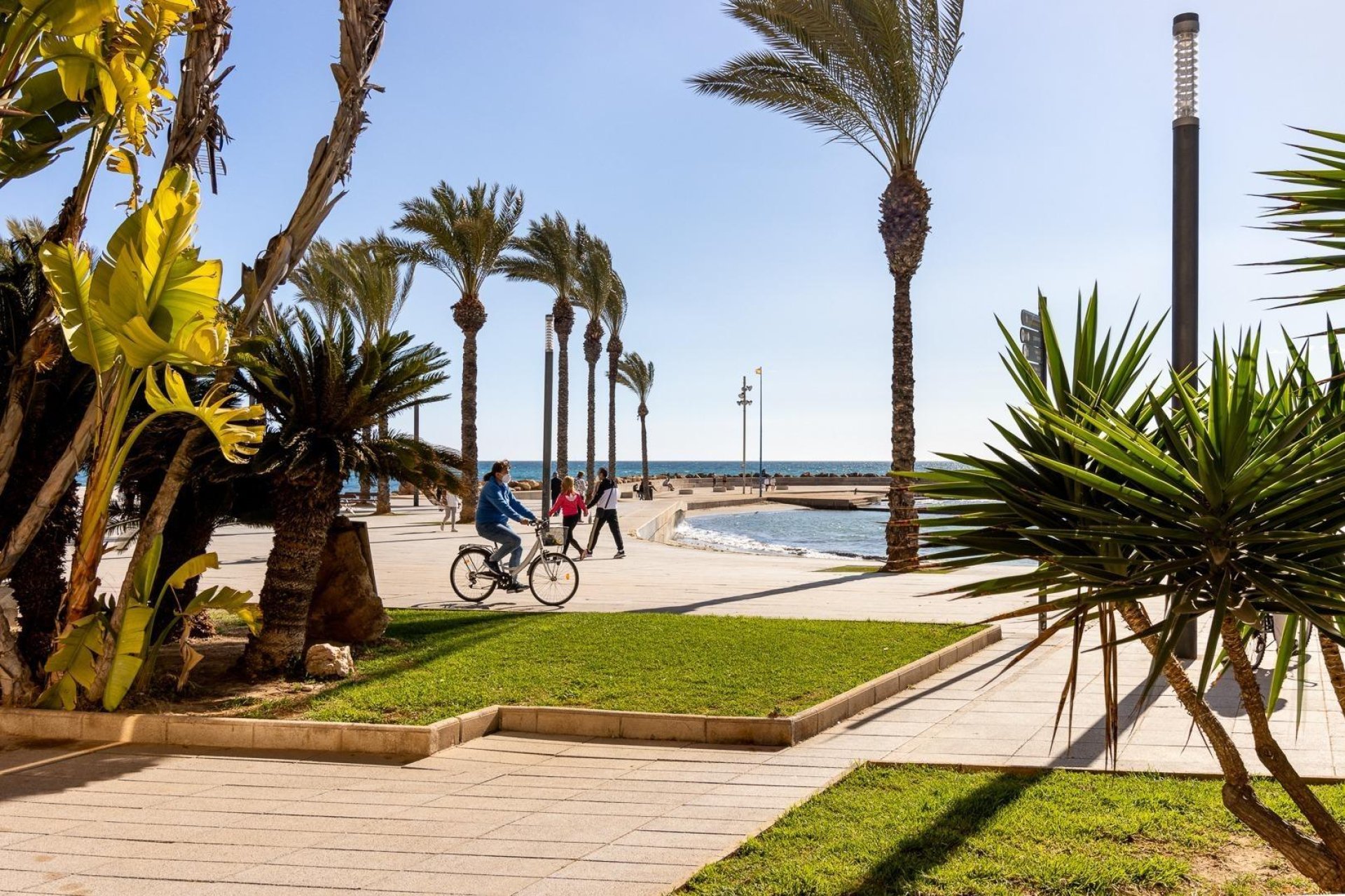 Wiederverkauf - Wohnung - Torrevieja - Estacion de autobuses