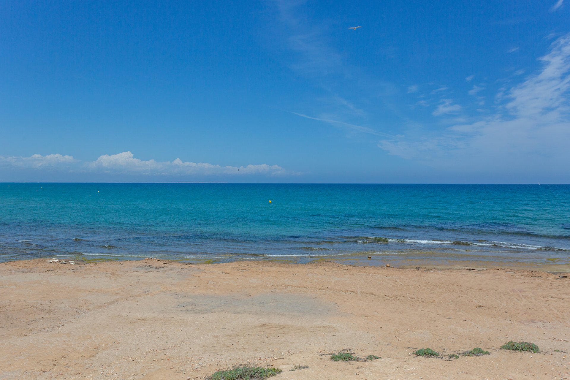 Wiederverkauf - Wohnung - Torrevieja - La Mata