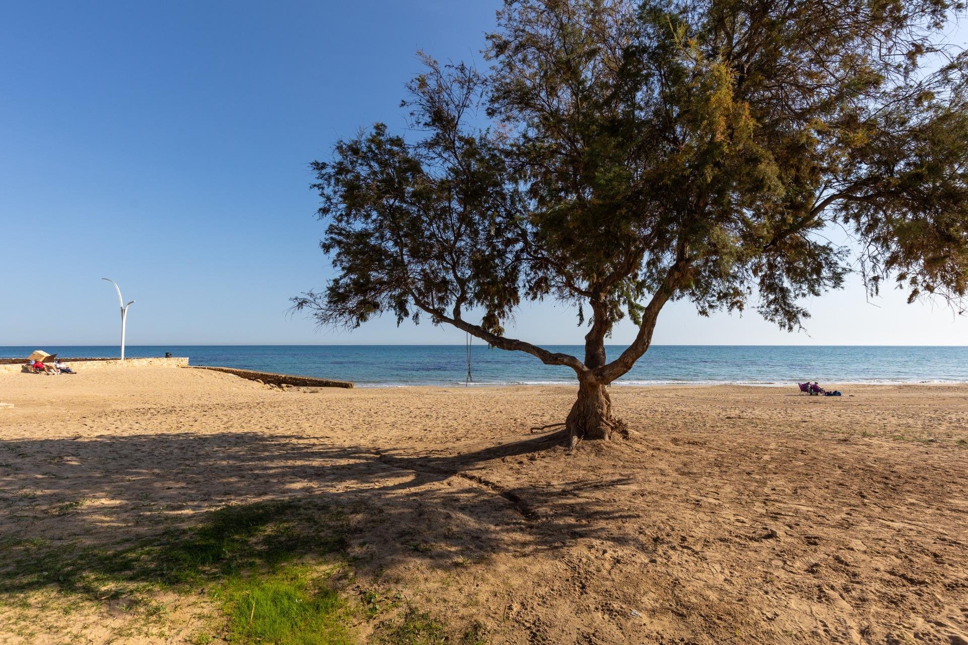 Wiederverkauf - Wohnung - Torrevieja - La Mata