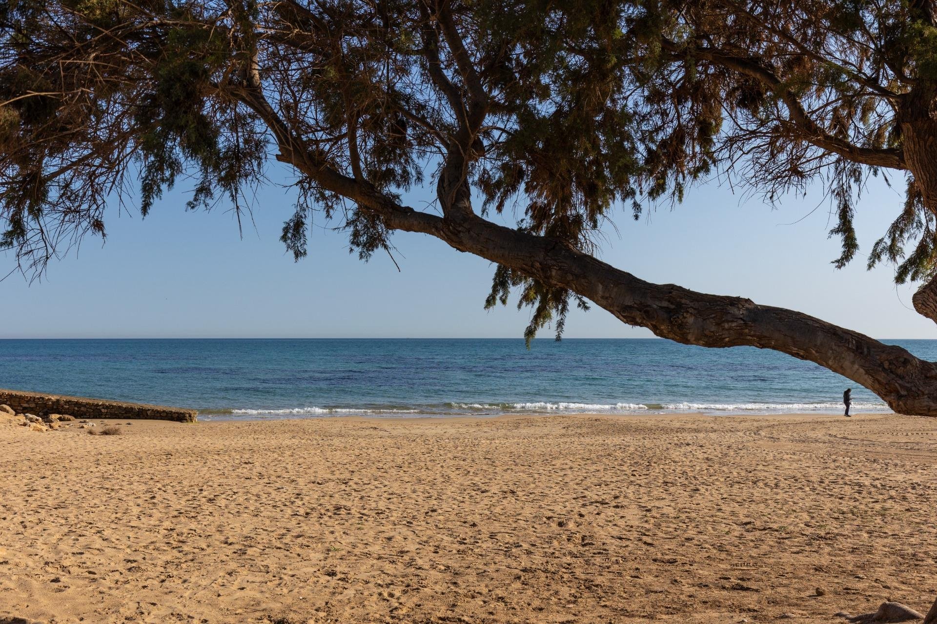 Wiederverkauf - Wohnung - Torrevieja - La Mata