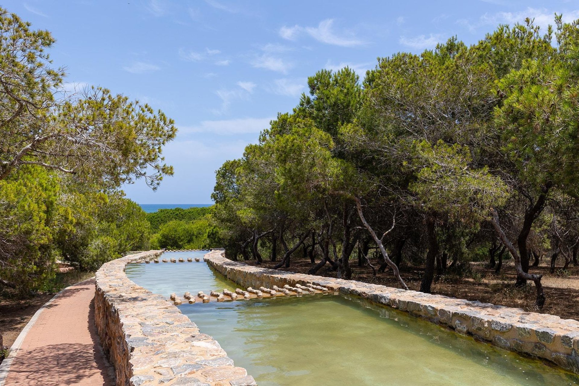 Wiederverkauf - Wohnung - Torrevieja - La Mata