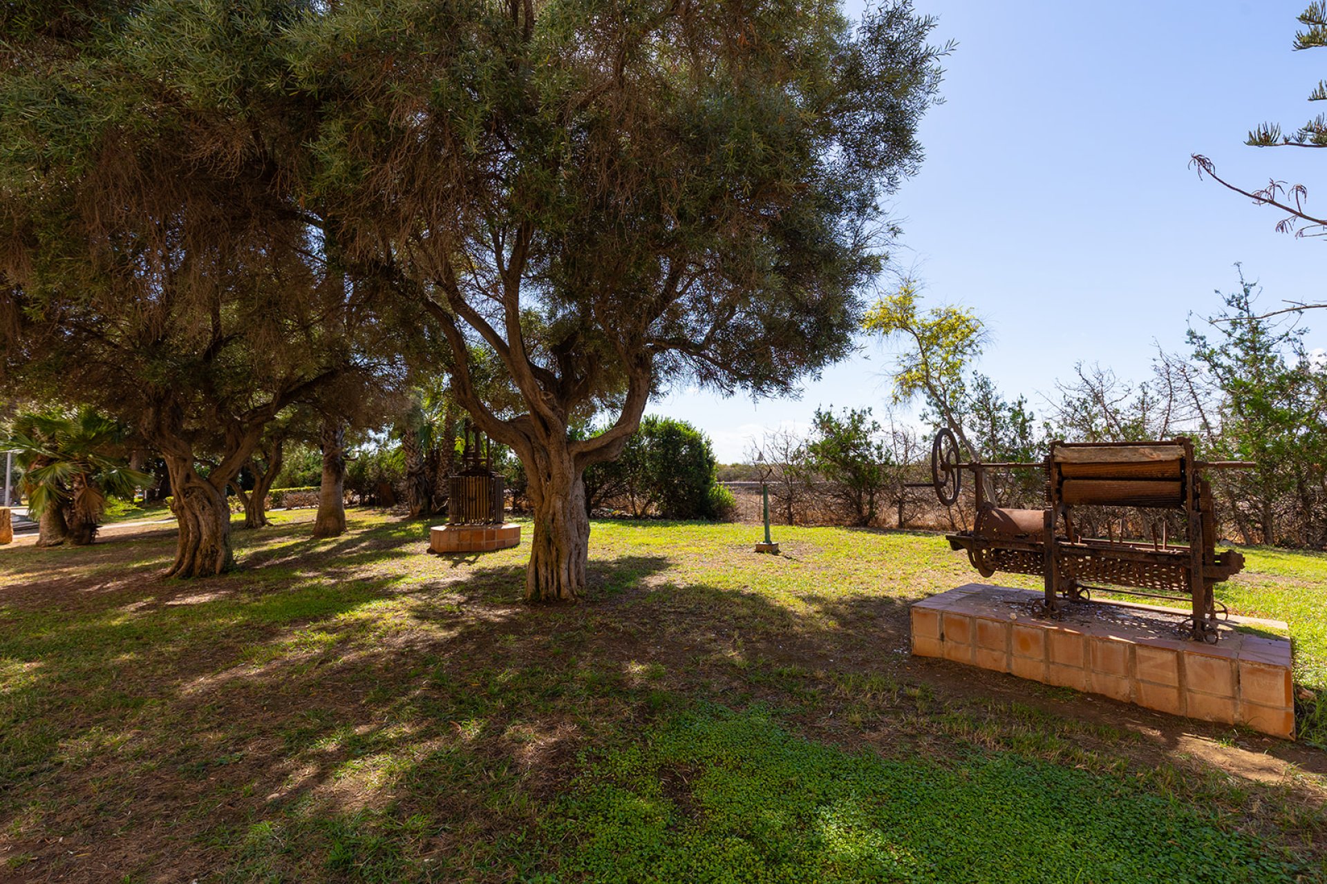Wiederverkauf - Wohnung - Torrevieja - La Mata