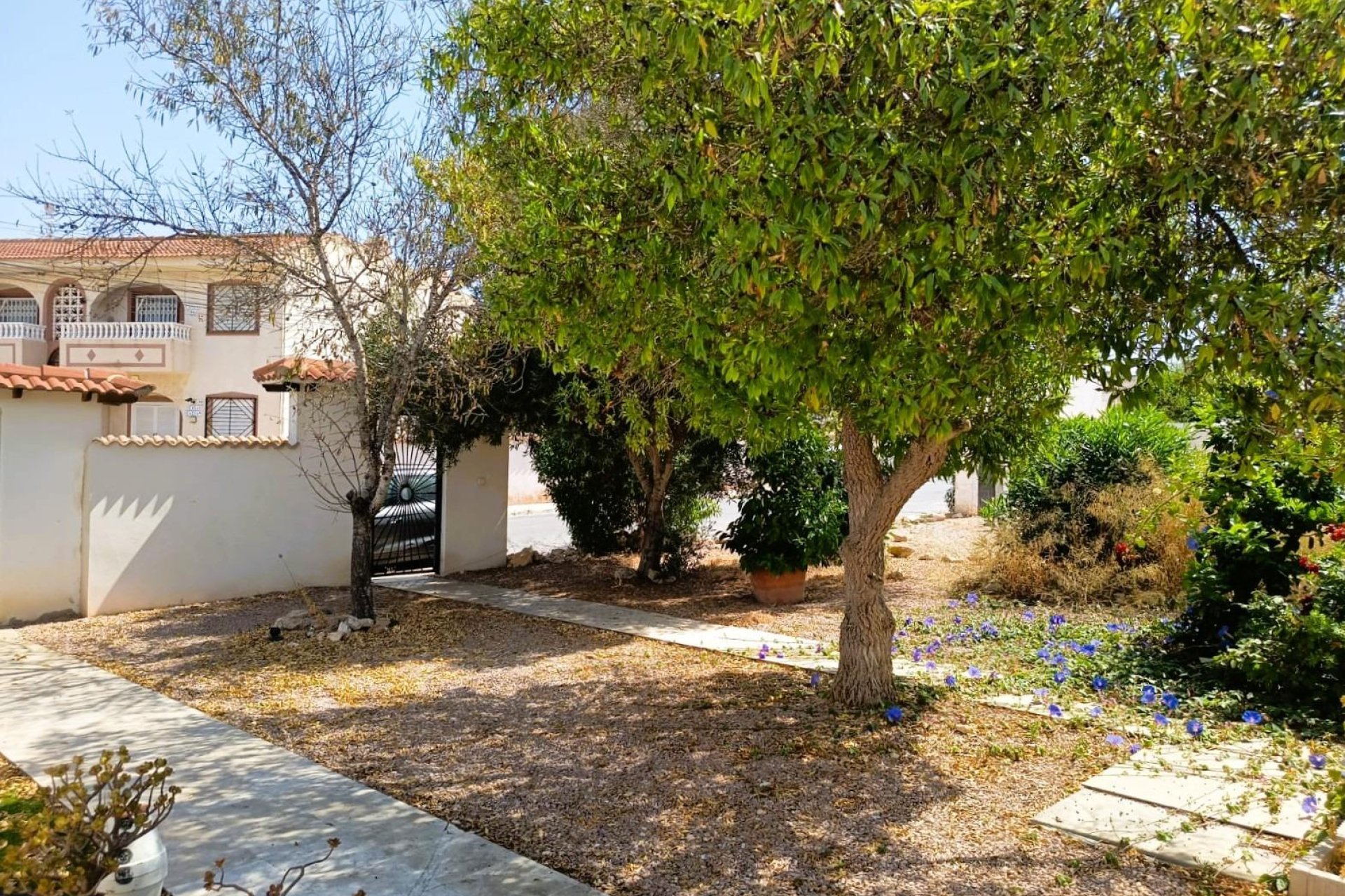 Wiederverkauf - Wohnung - Torrevieja - La Siesta