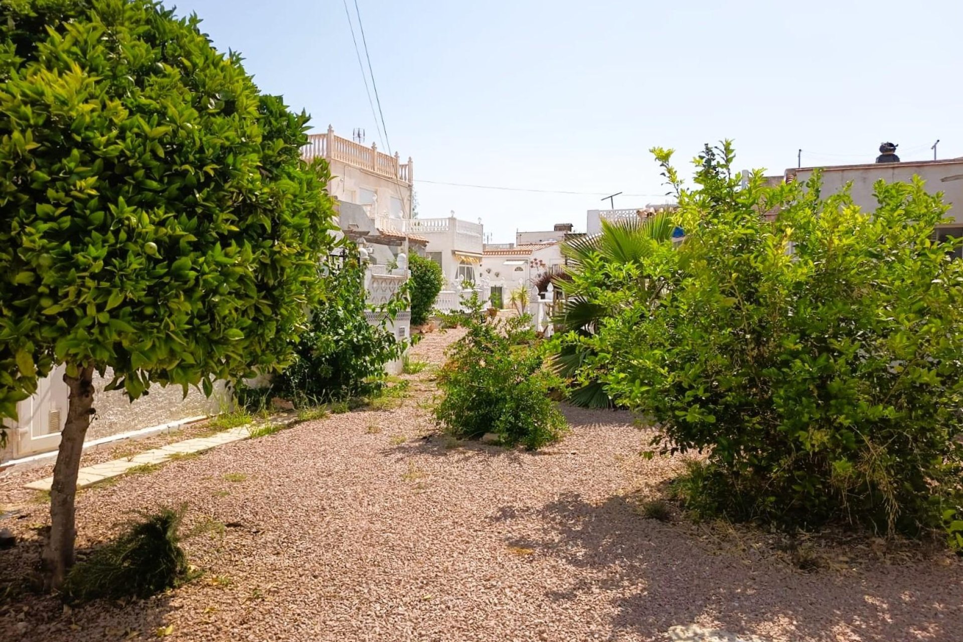 Wiederverkauf - Wohnung - Torrevieja - La Siesta