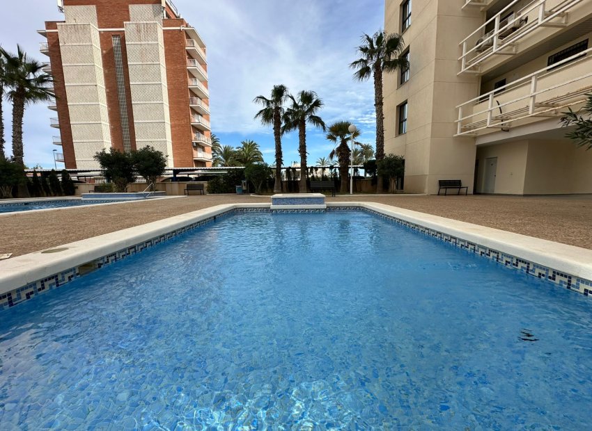 Wiederverkauf - Wohnung - Torrevieja - La Veleta