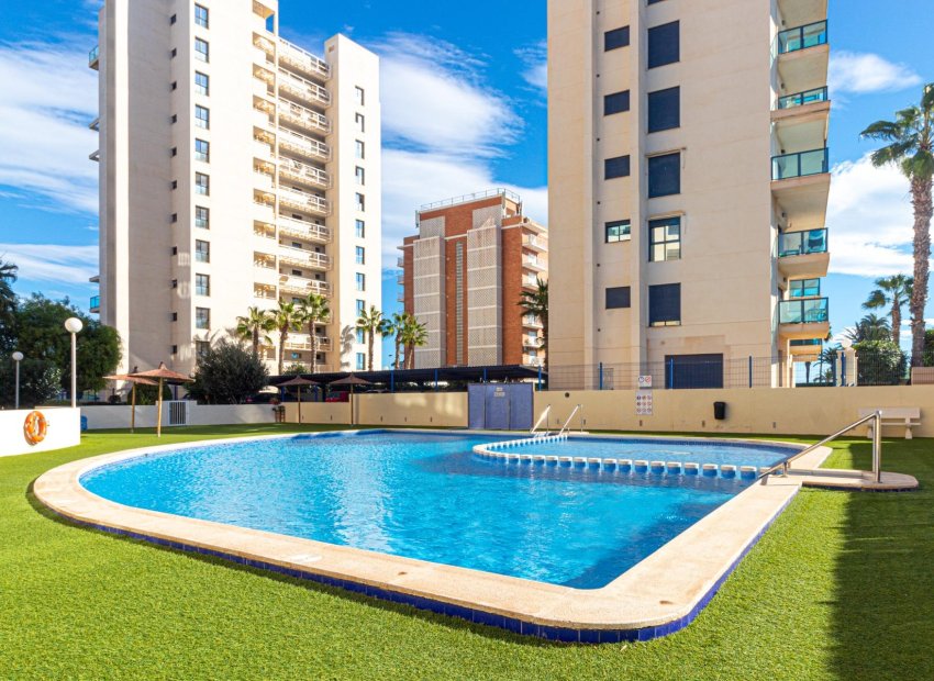 Wiederverkauf - Wohnung - Torrevieja - La Veleta