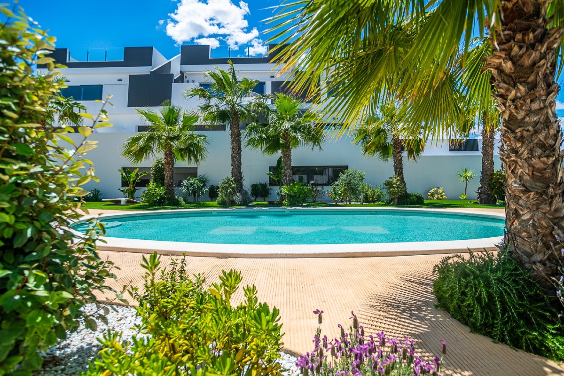 Wiederverkauf - Wohnung - Torrevieja - Los Balcones