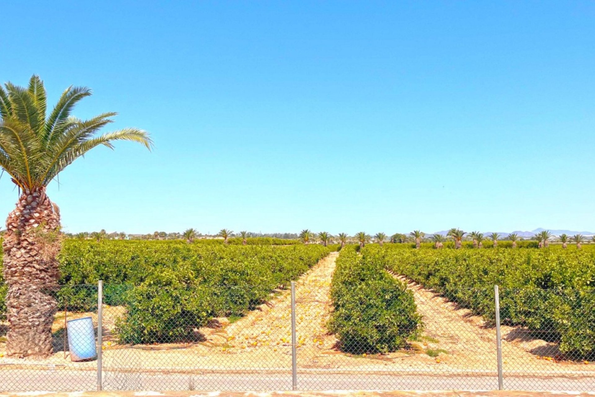 Wiederverkauf - Wohnung - Torrevieja - Los Balcones