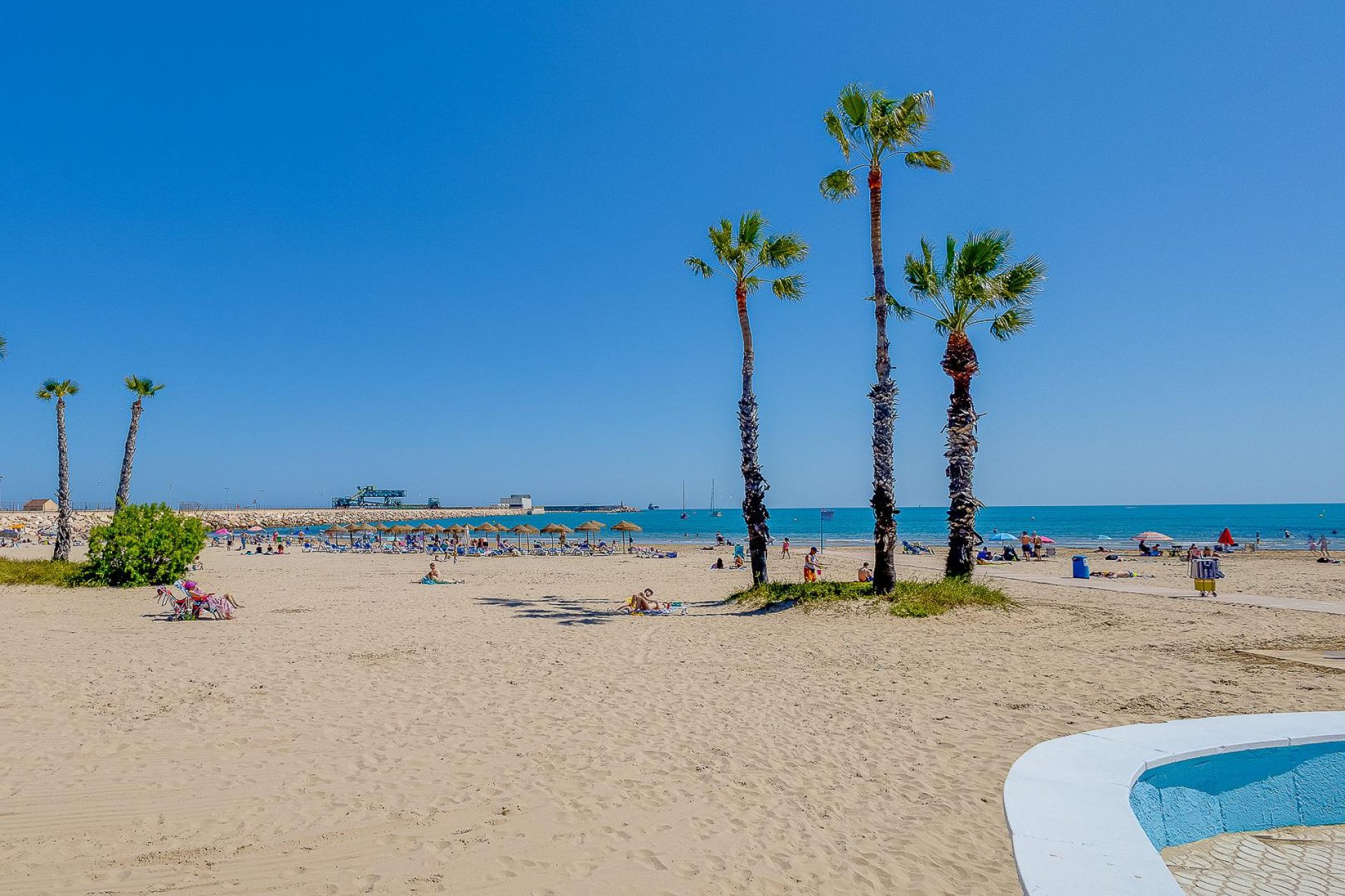 Wiederverkauf - Wohnung - Torrevieja - Playa de los Naufragos