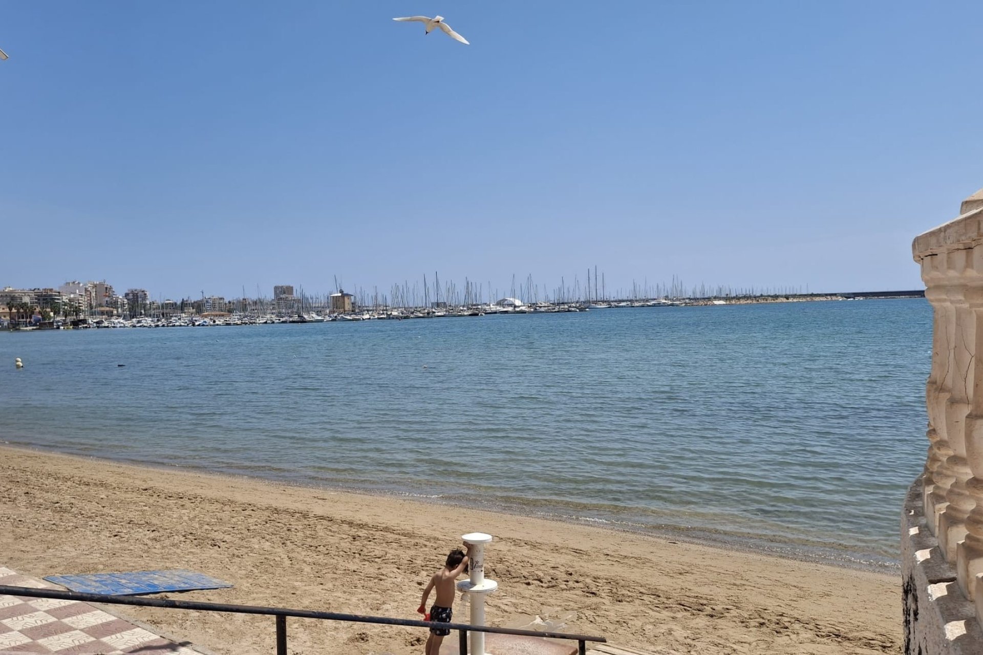 Wiederverkauf - Wohnung - Torrevieja - Playa del Acequión