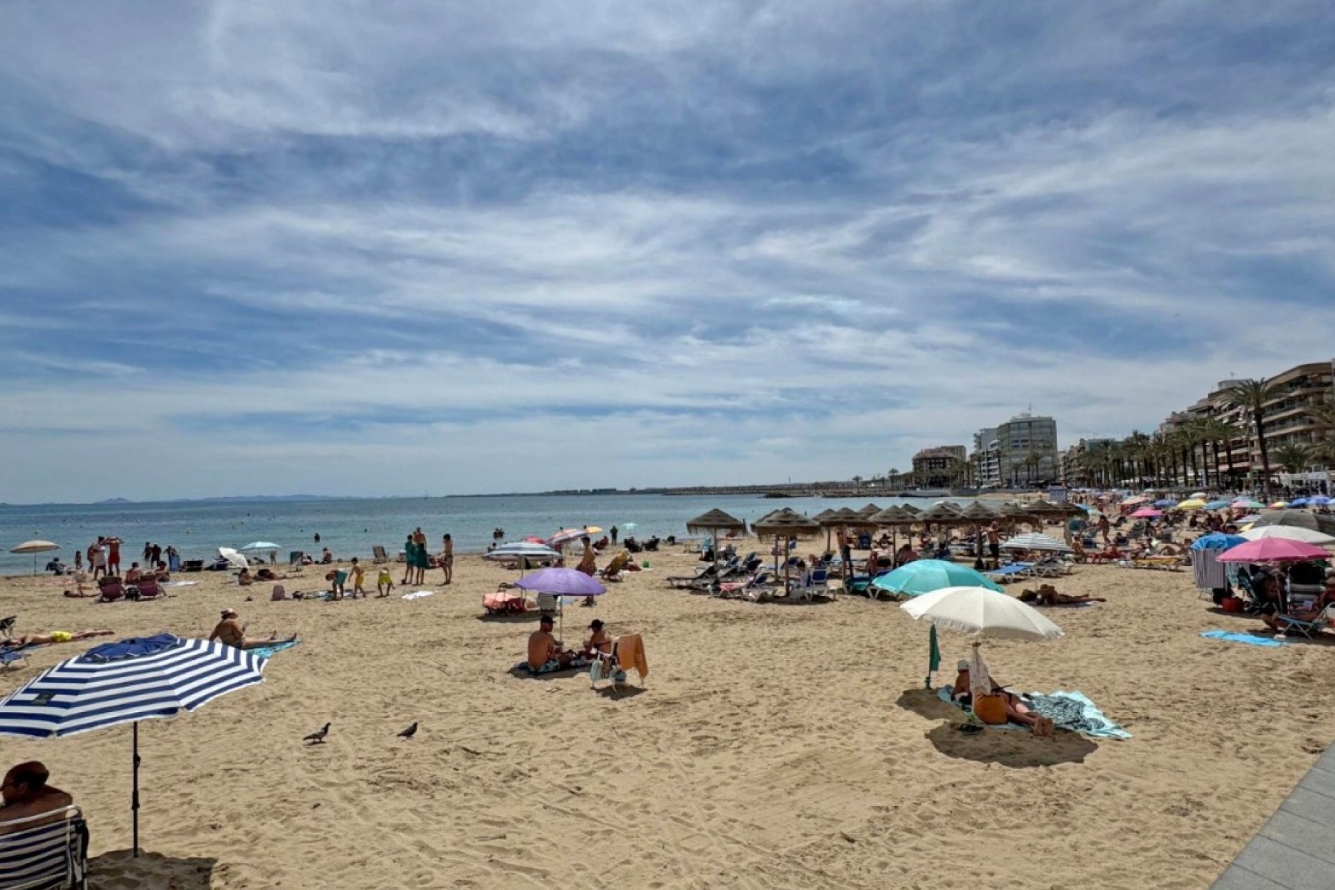 Wiederverkauf - Wohnung - Torrevieja - Playa del Cura