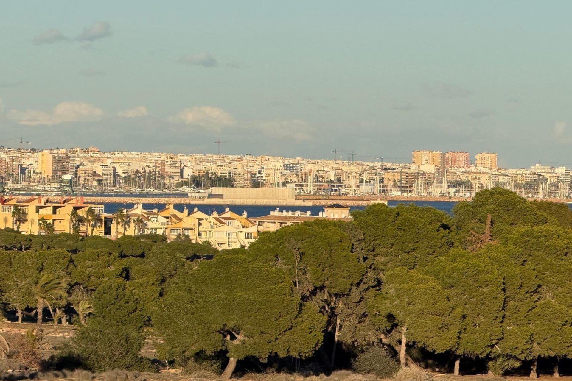 Wiederverkauf - Wohnung - Torrevieja - Punta Prima