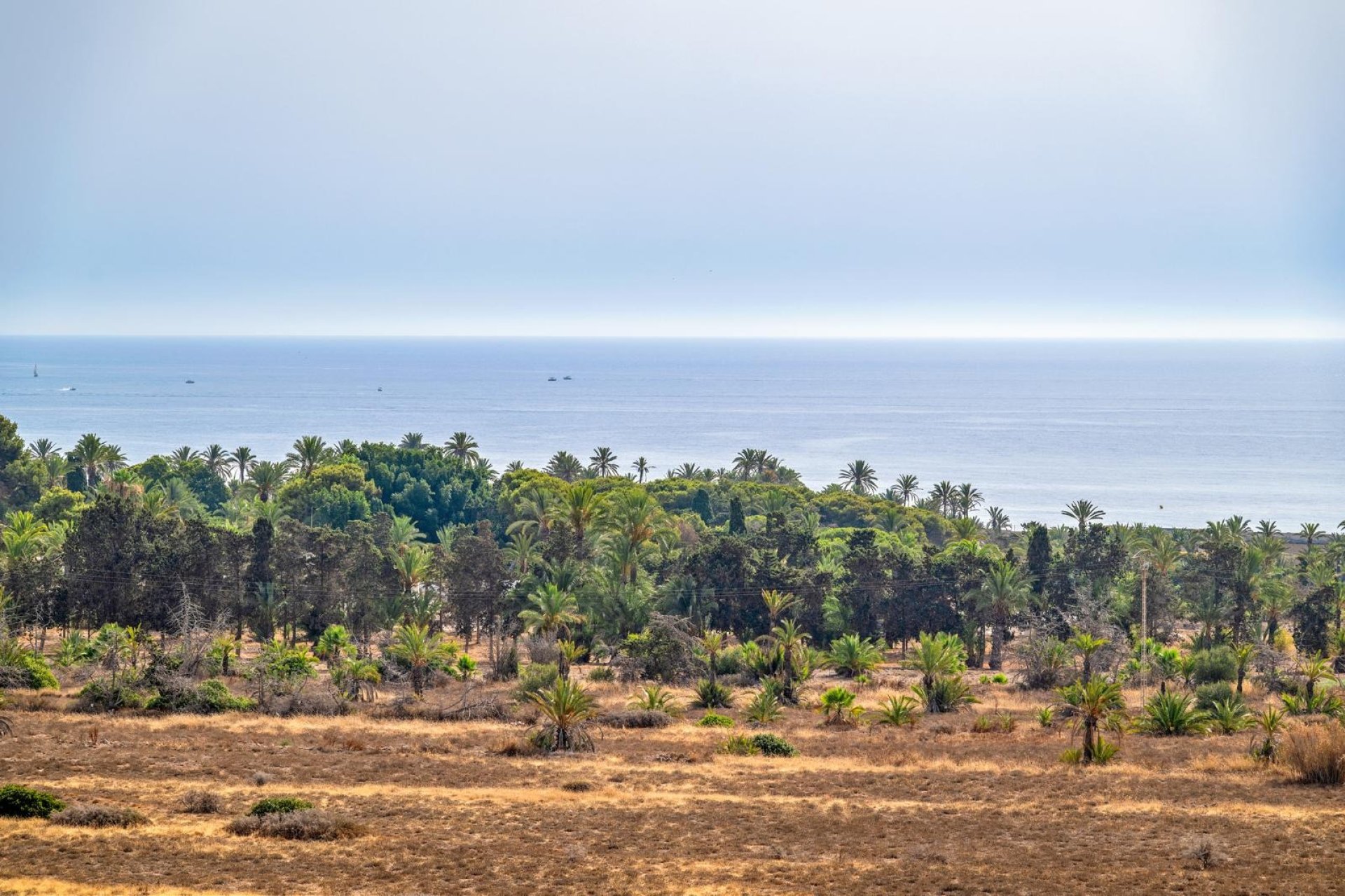 Wiederverkauf - Wohnung - Torrevieja - Punta Prima