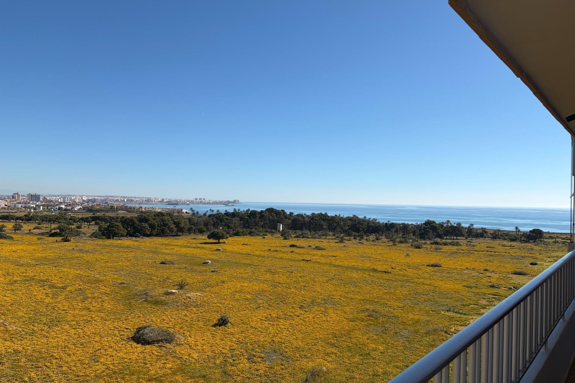 Wiederverkauf - Wohnung - Torrevieja - Punta Prima