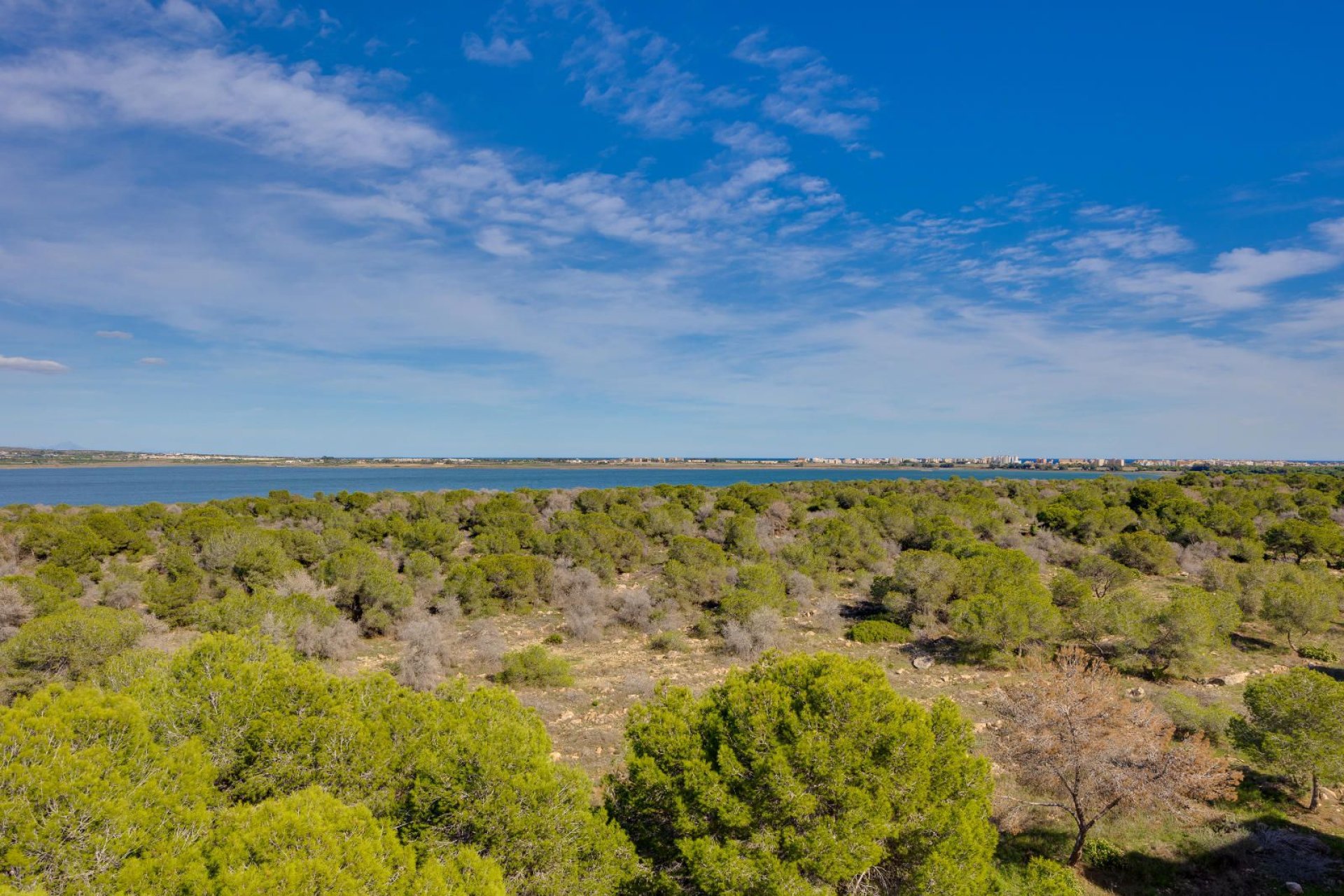 Wiederverkauf - Wohnung - Torrevieja - San luis