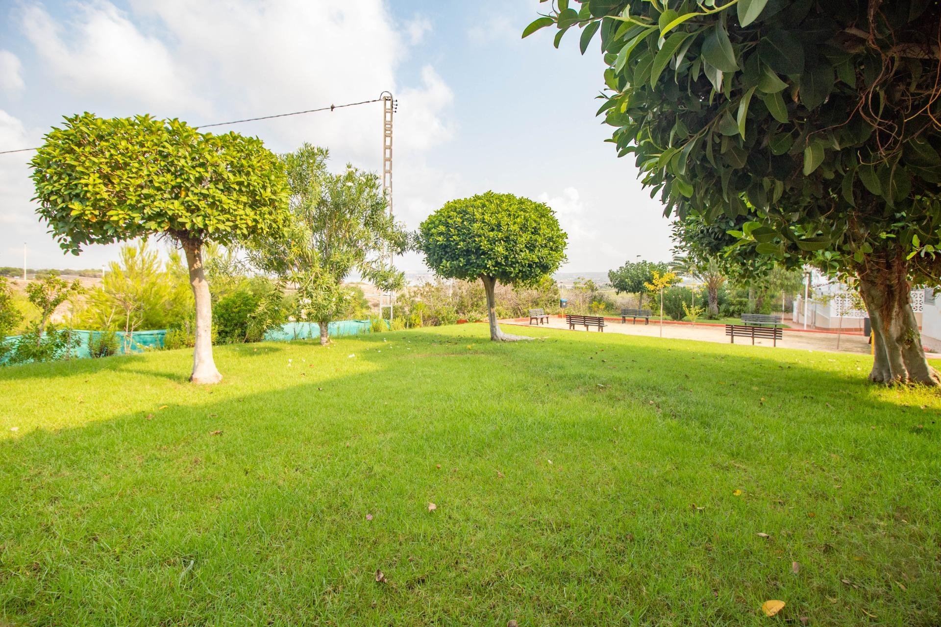 Wiederverkauf - Wohnung - Torrevieja - Torreblanca