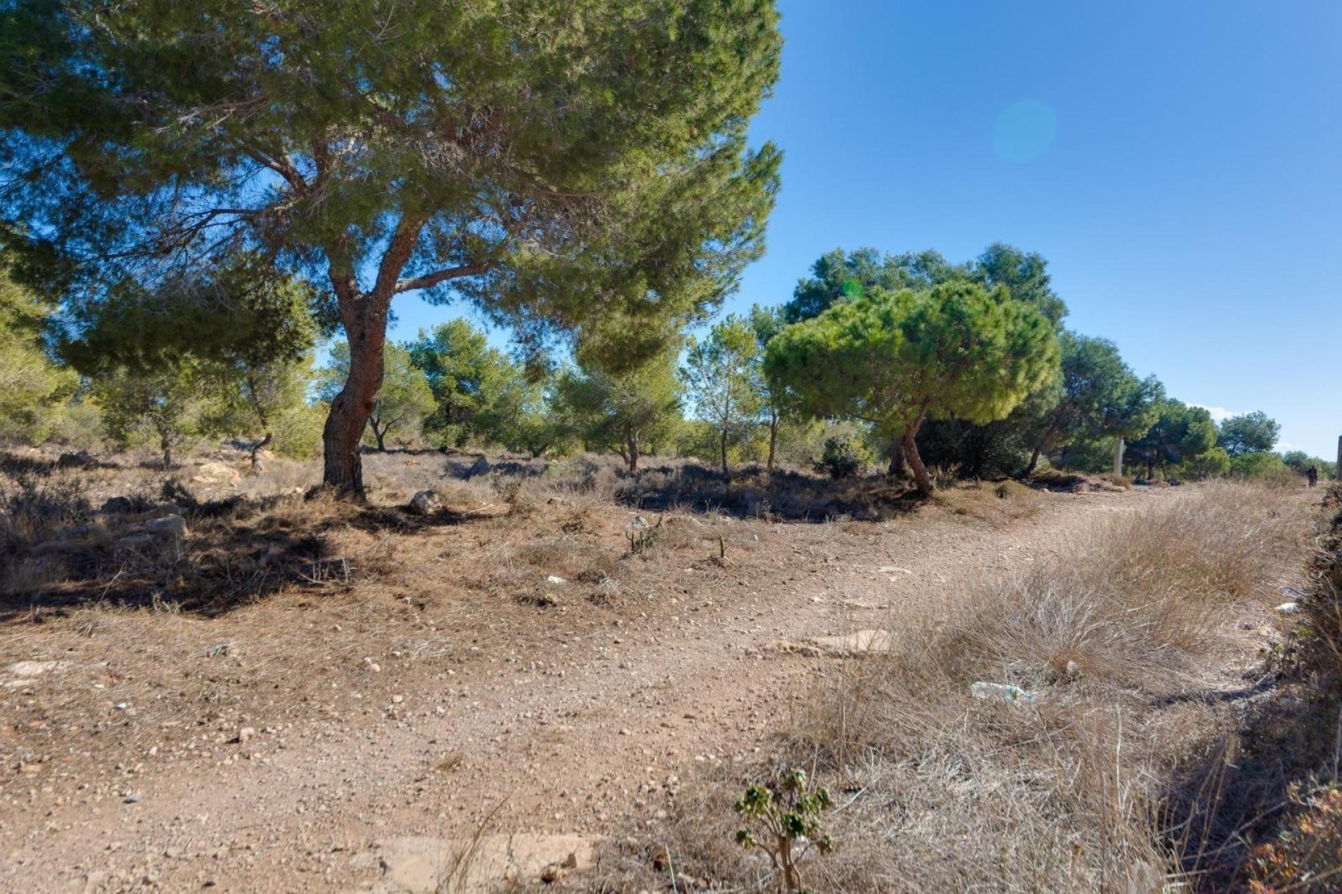 Wiederverkauf - Wohnung - Torrevieja - Torretas