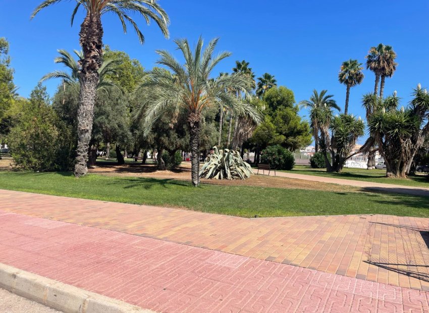 Wiederverkauf - Wohnung - Torrevieja