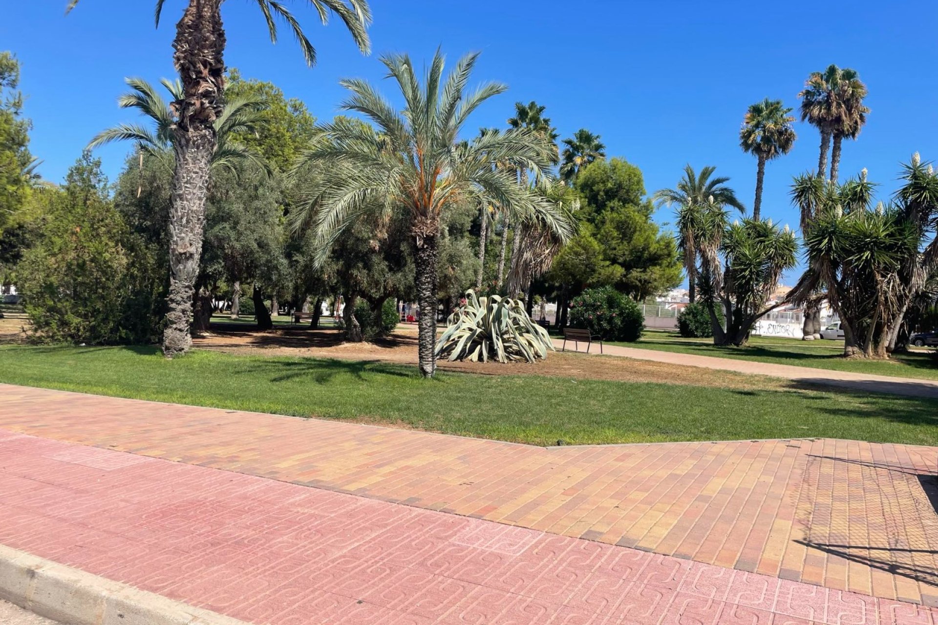 Wiederverkauf - Wohnung - Torrevieja