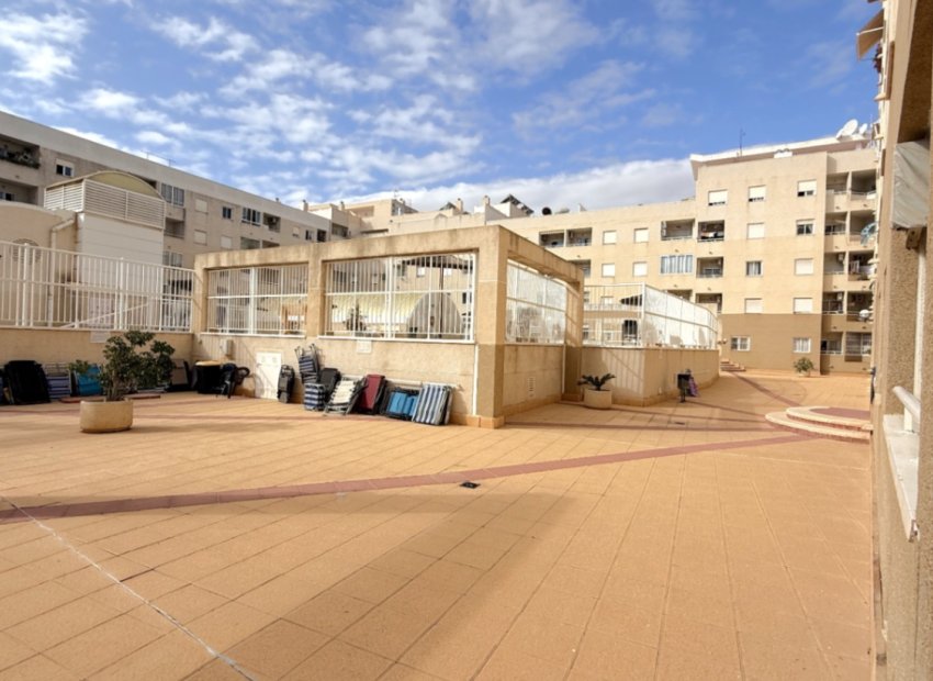 Wiederverkauf - Wohnung - Torrevieja