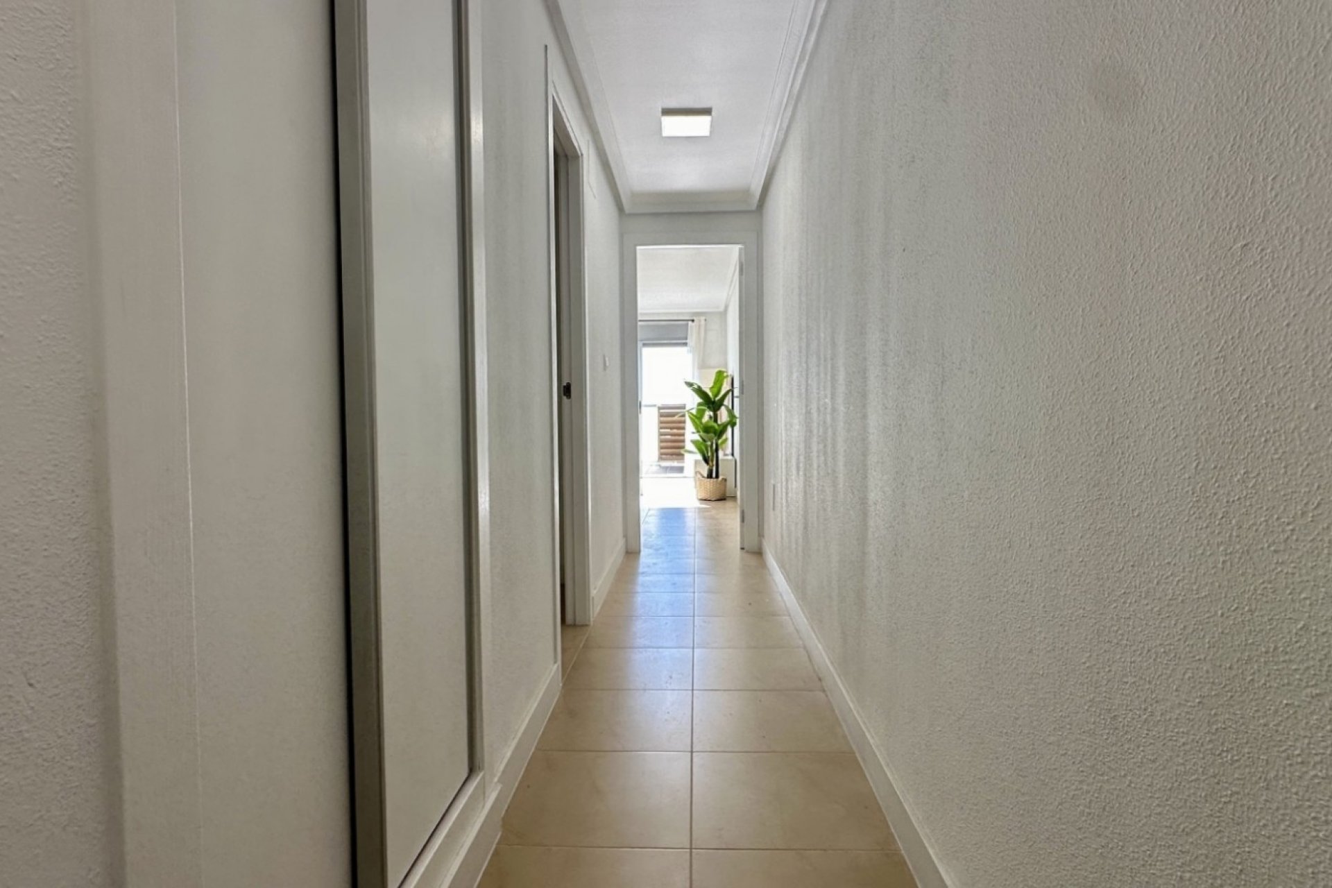Wiederverkauf - Wohnung - Torrevieja