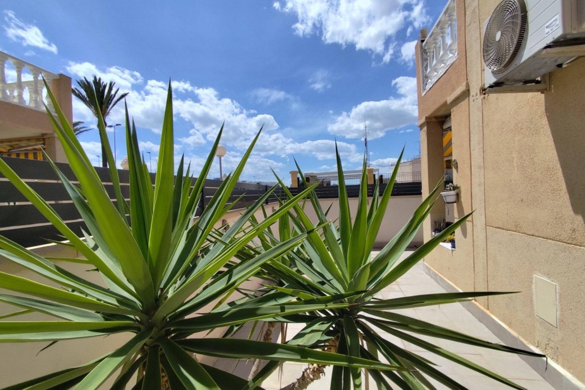 Wiederverkauf - Wohnung - Torrevieja