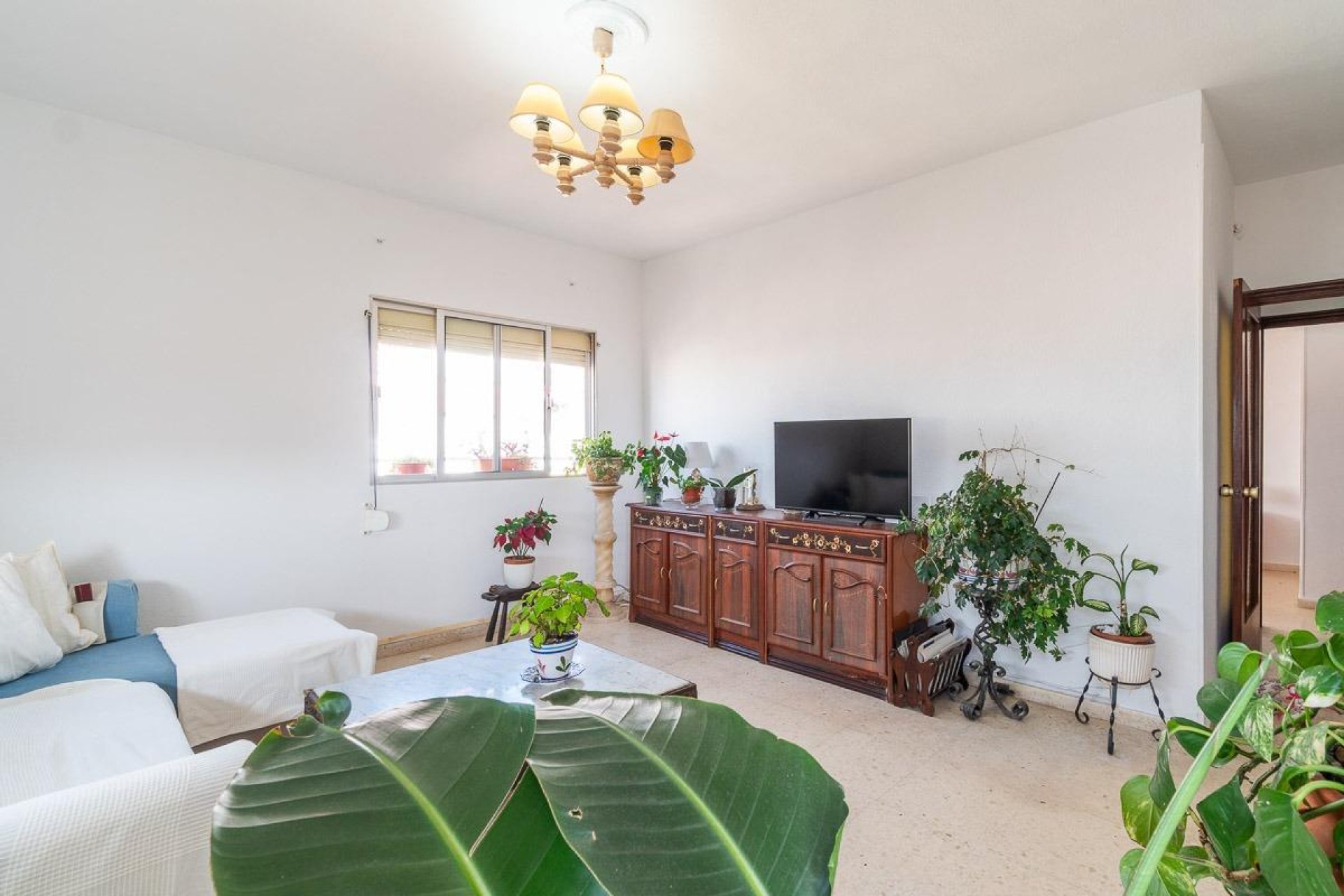Wiederverkauf - Wohnung - Torrevieja
