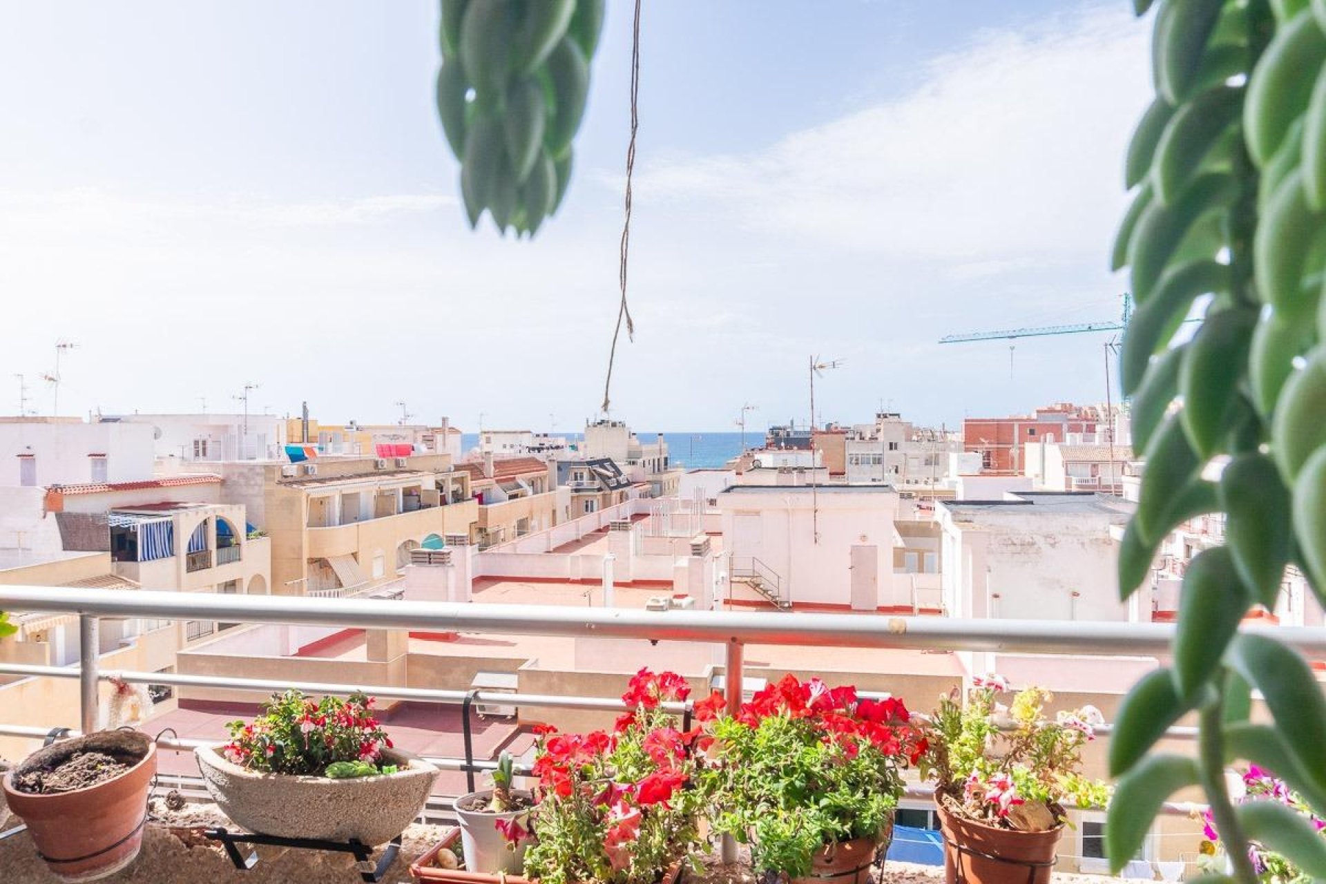 Wiederverkauf - Wohnung - Torrevieja