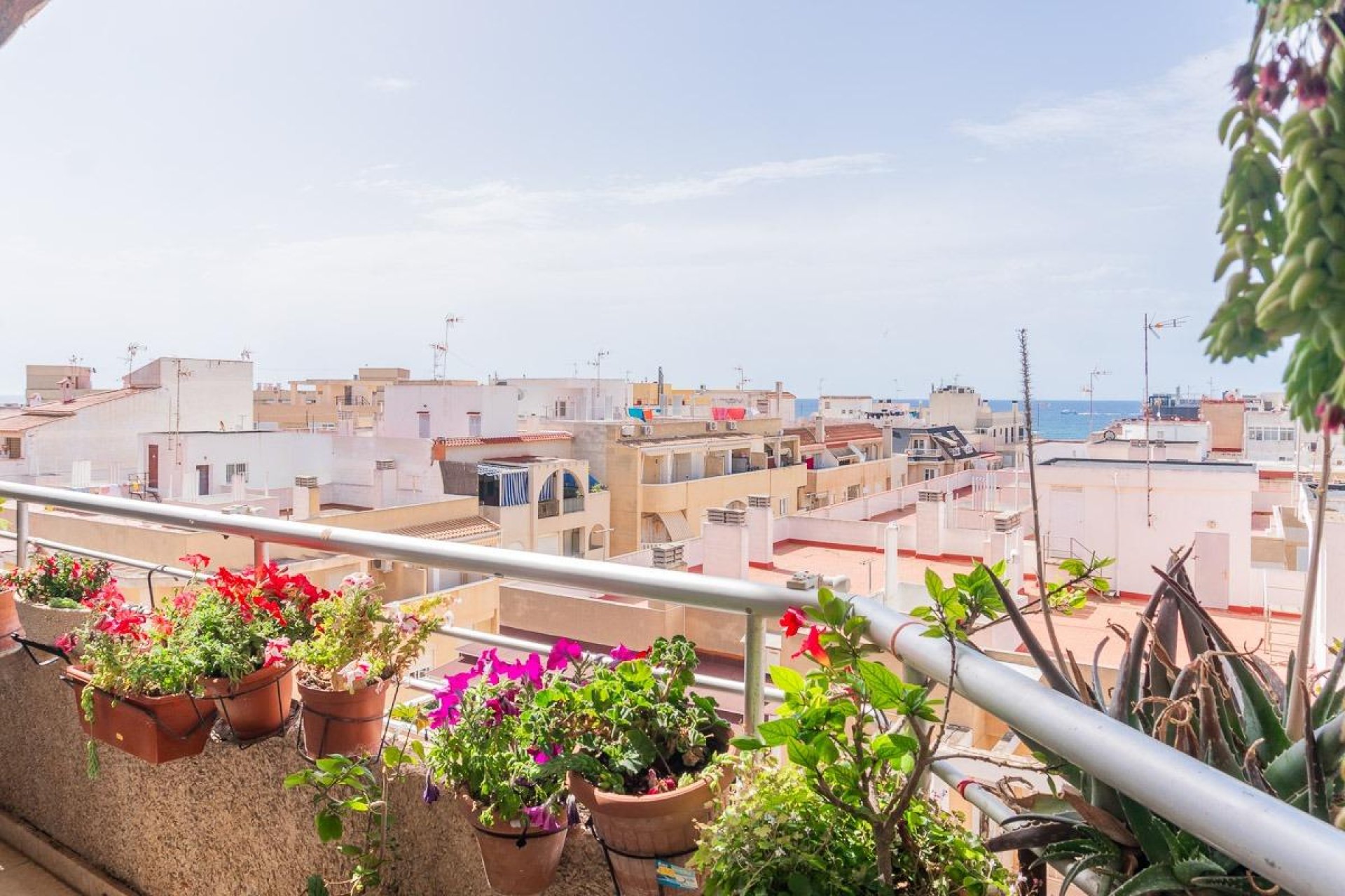 Wiederverkauf - Wohnung - Torrevieja